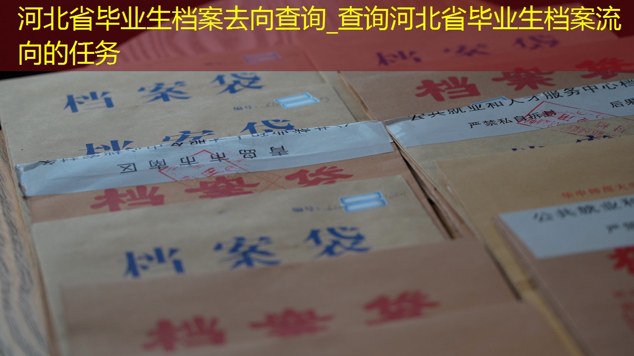 档案查询