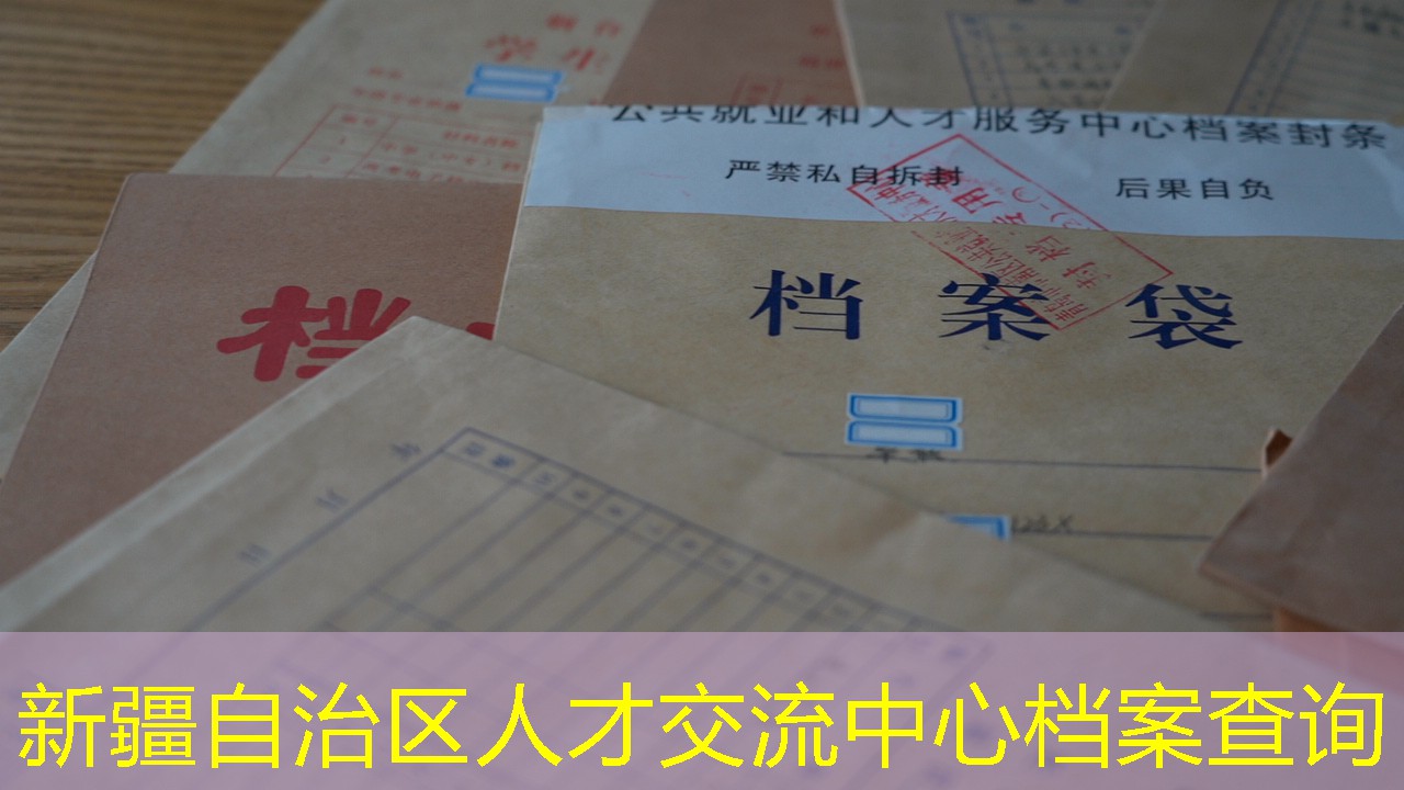 档案查询