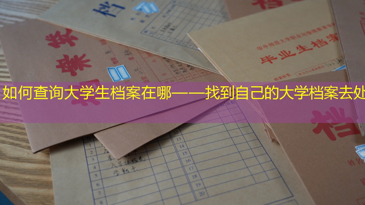 档案查询