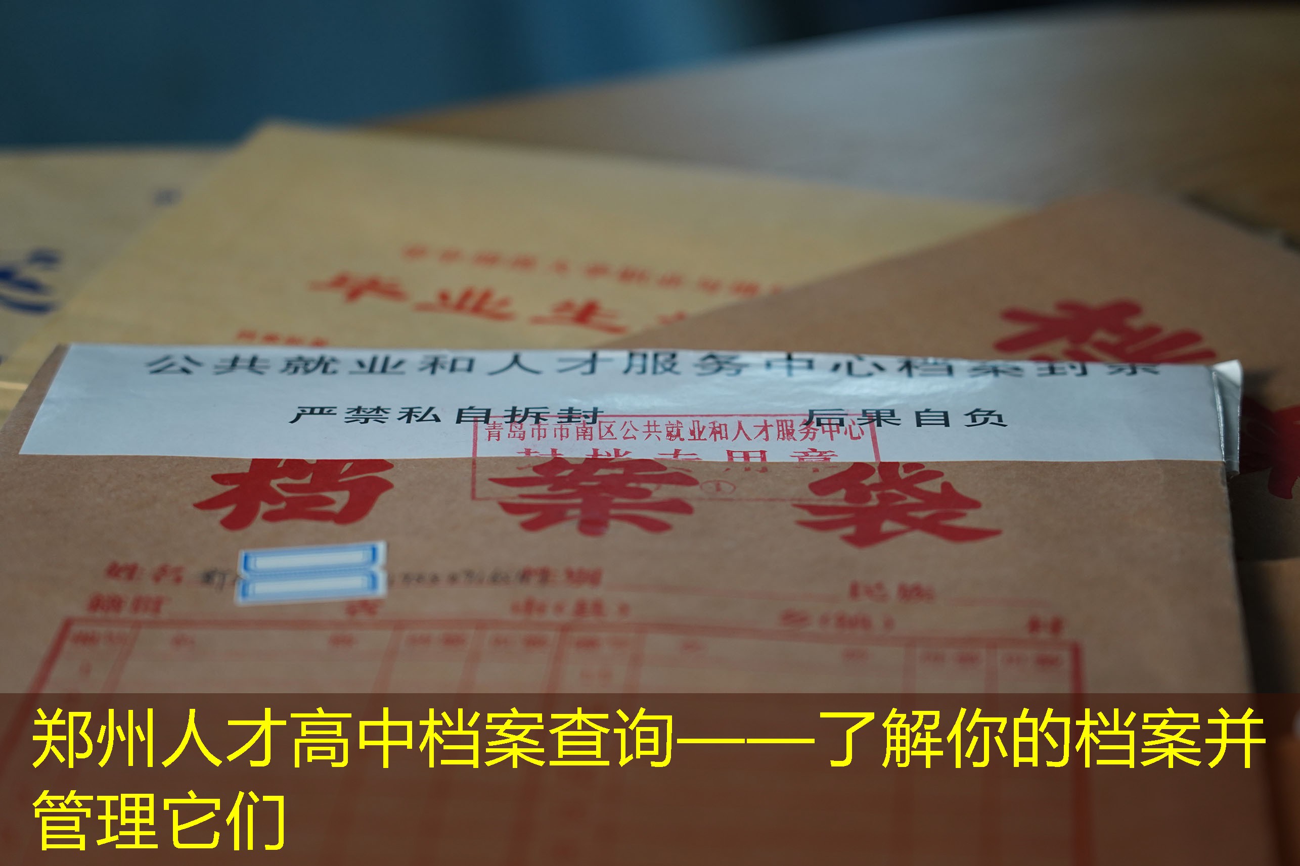 档案查询