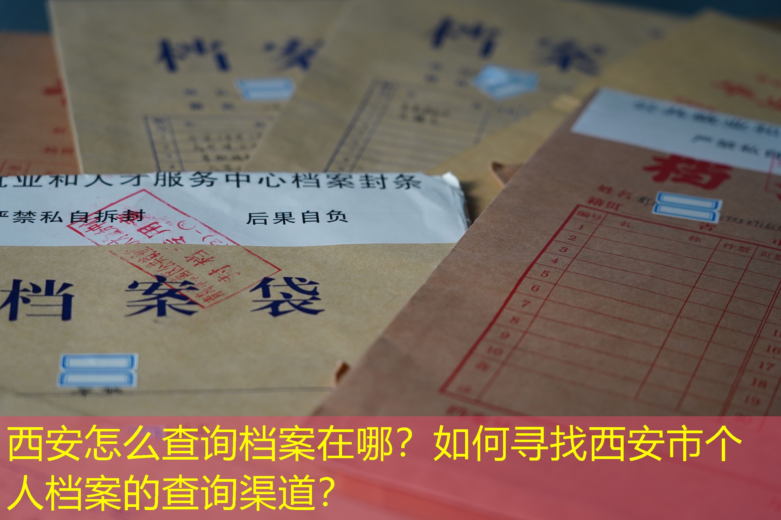 档案查询