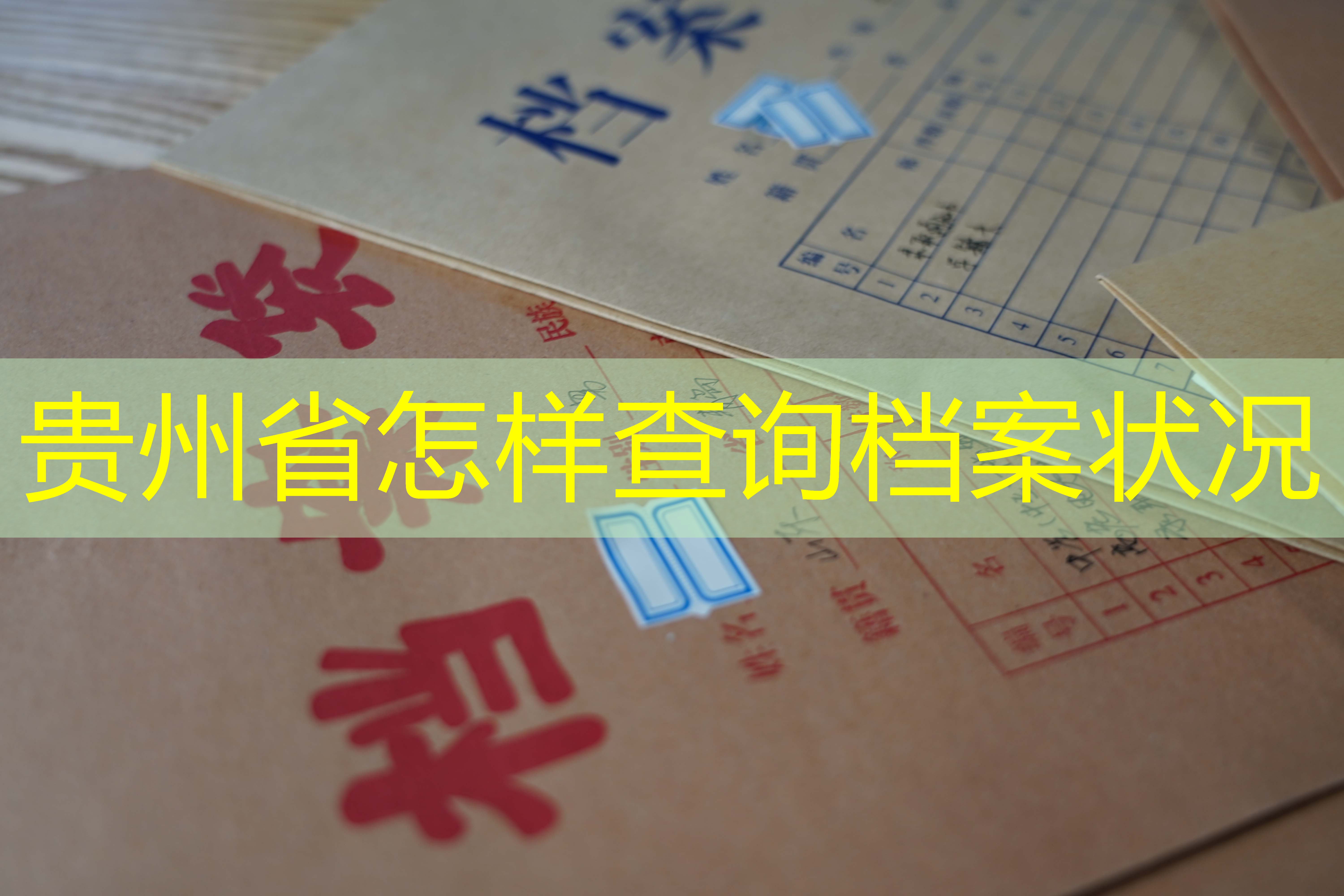 档案查询