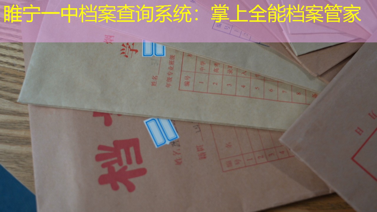 档案查询