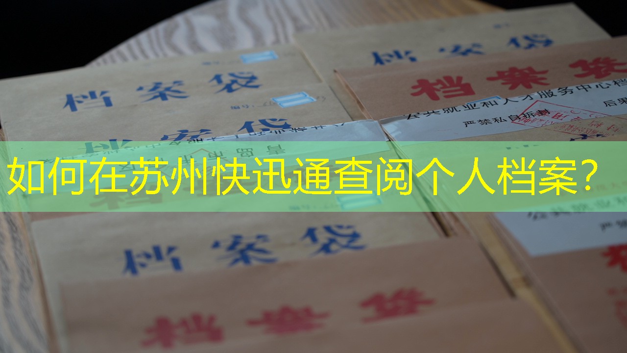 档案查询