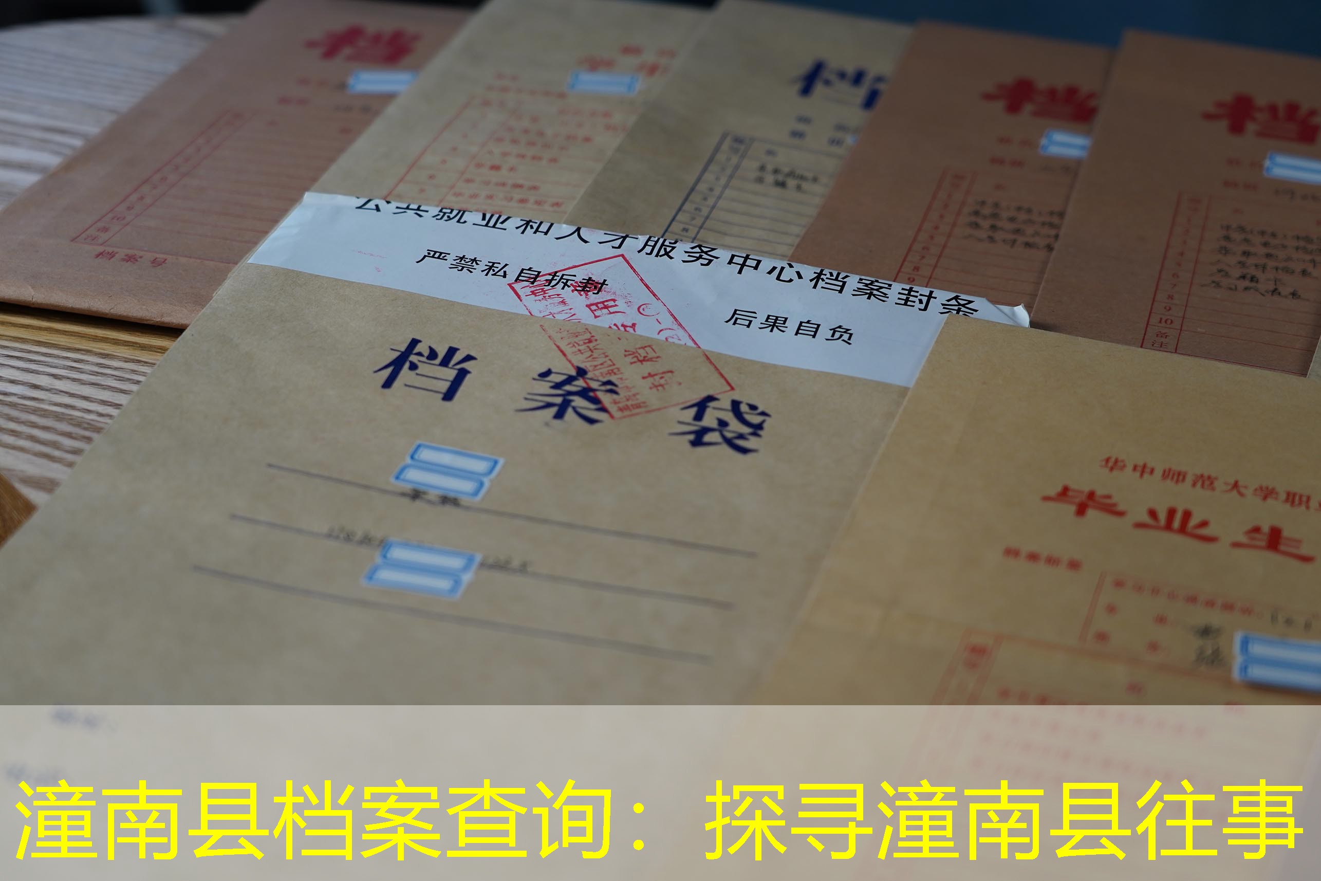 档案查询