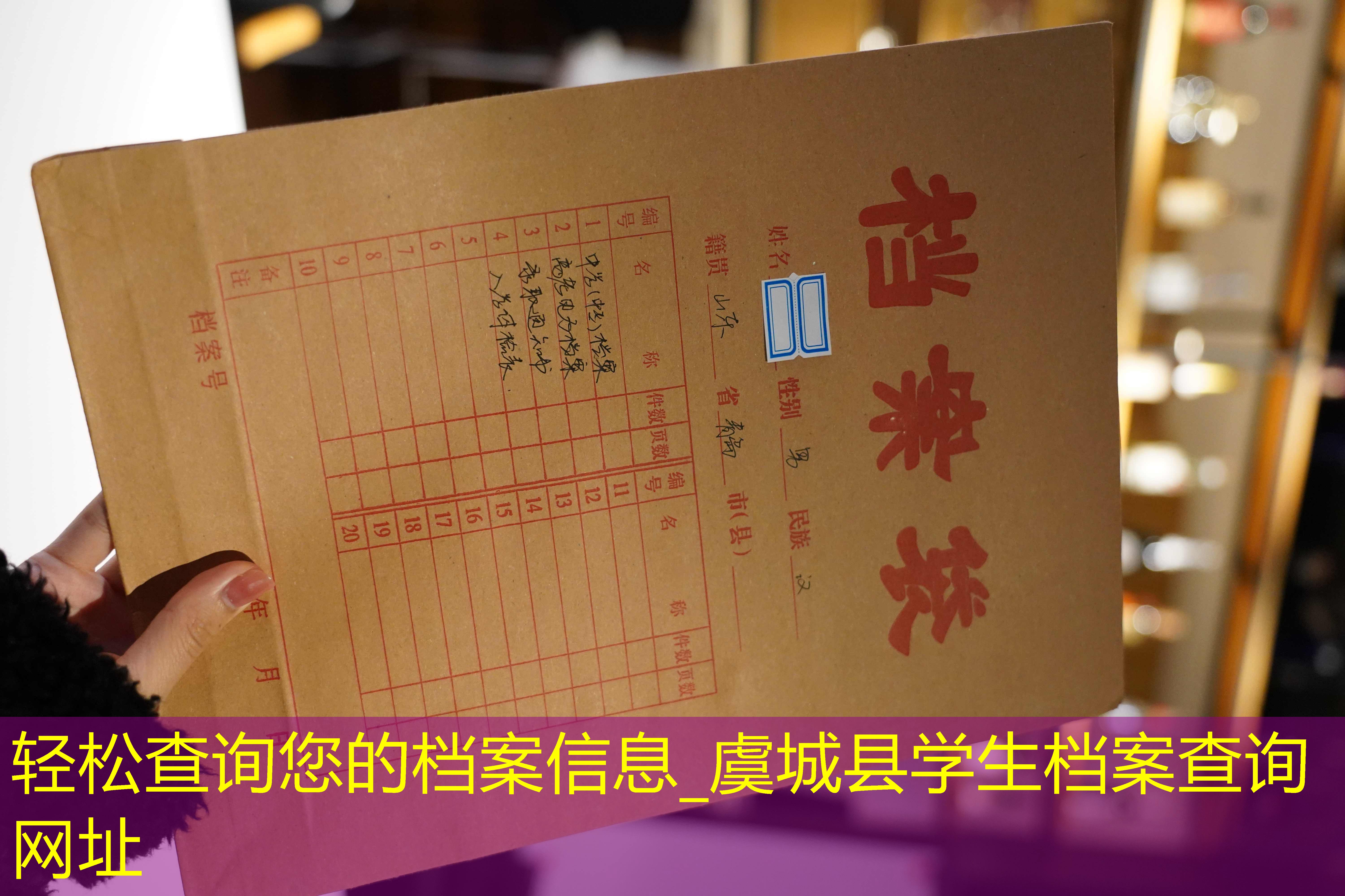 档案查询