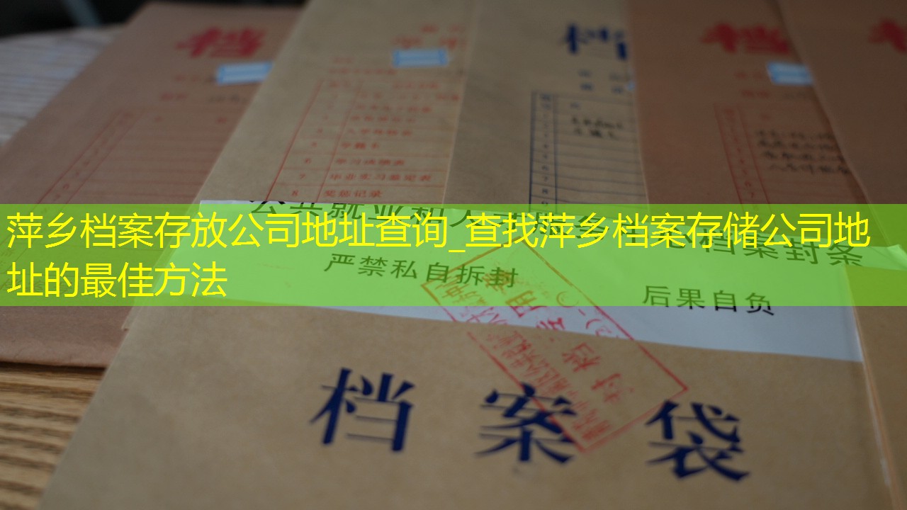 档案查询