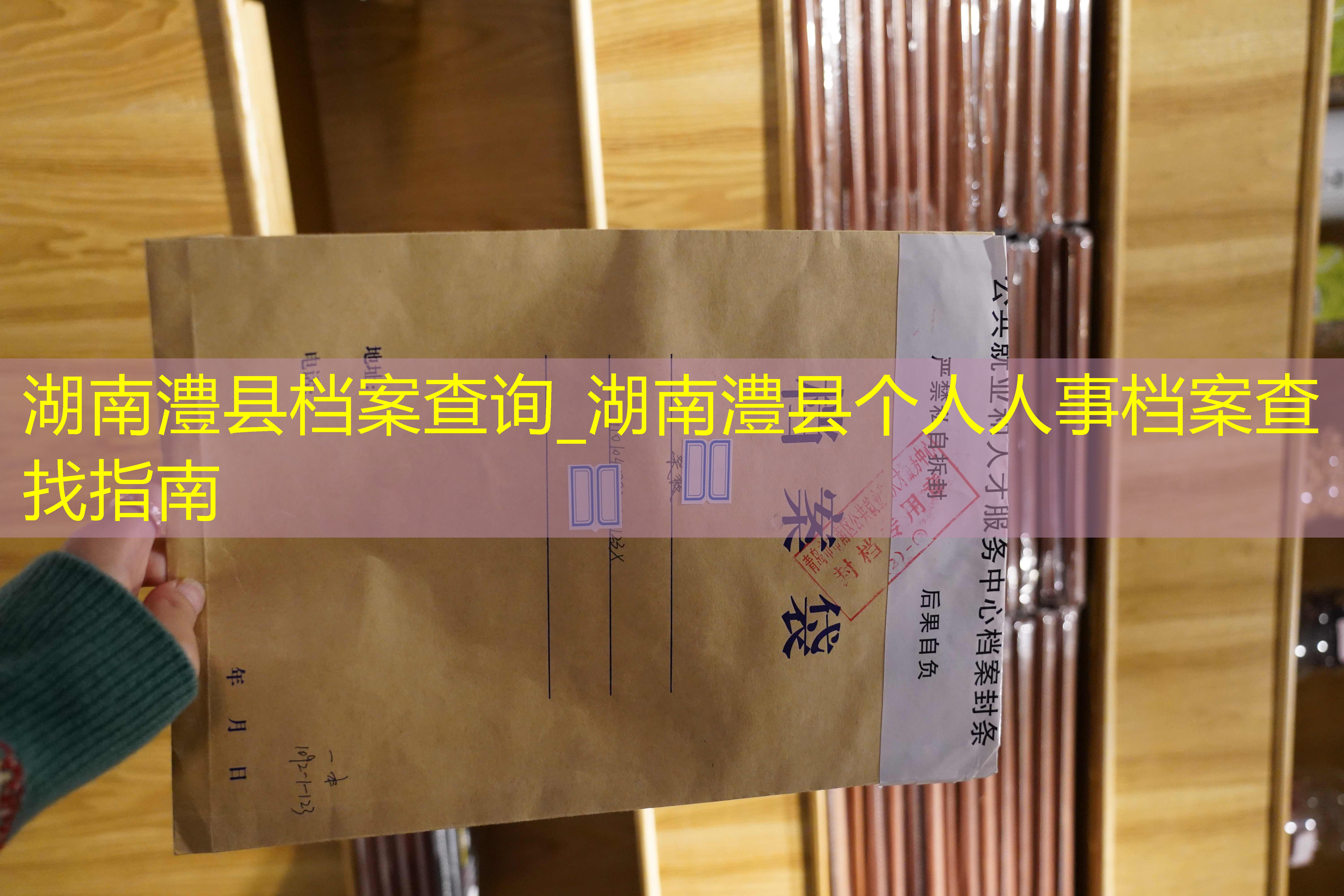 档案查询