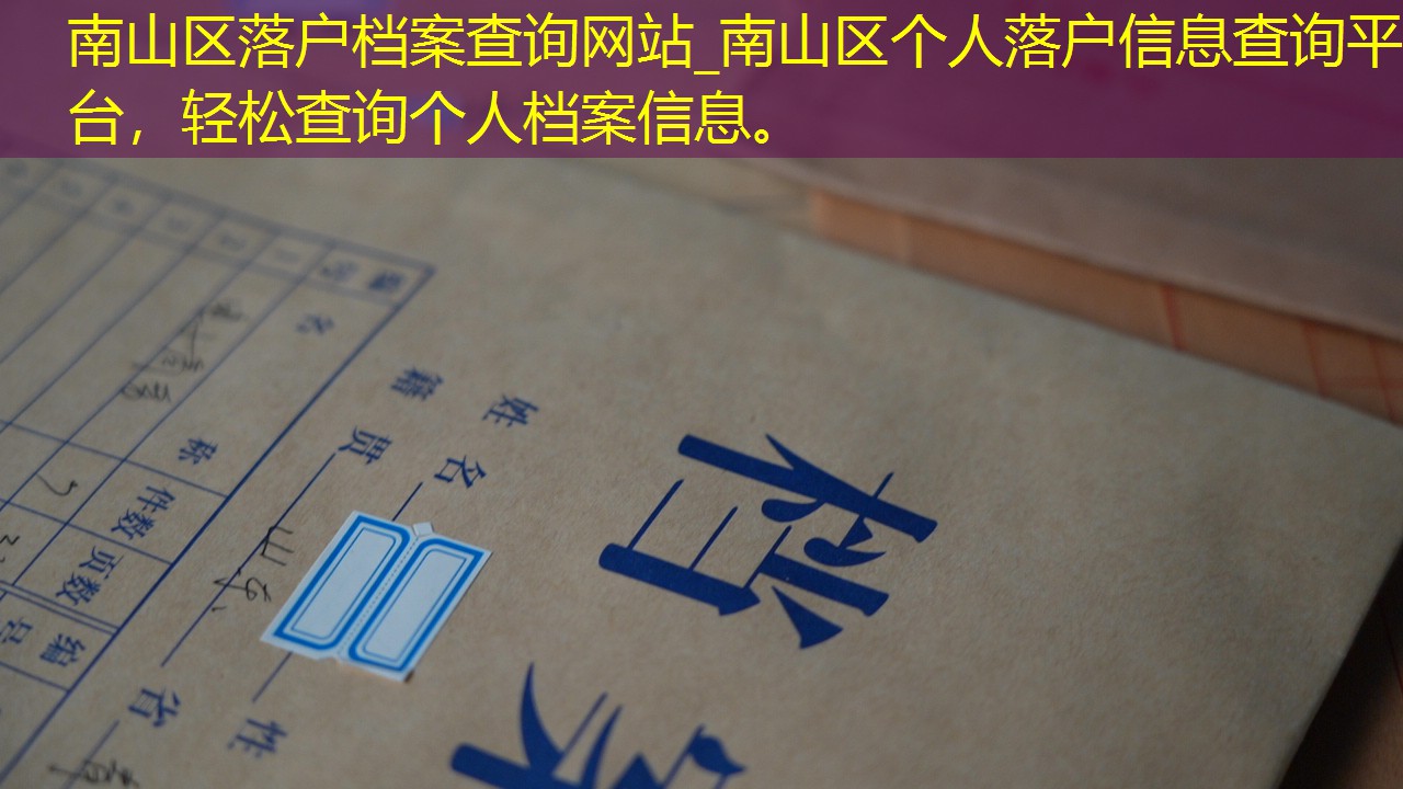 档案查询