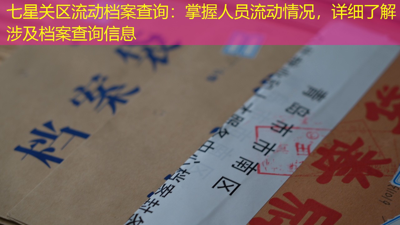 档案查询