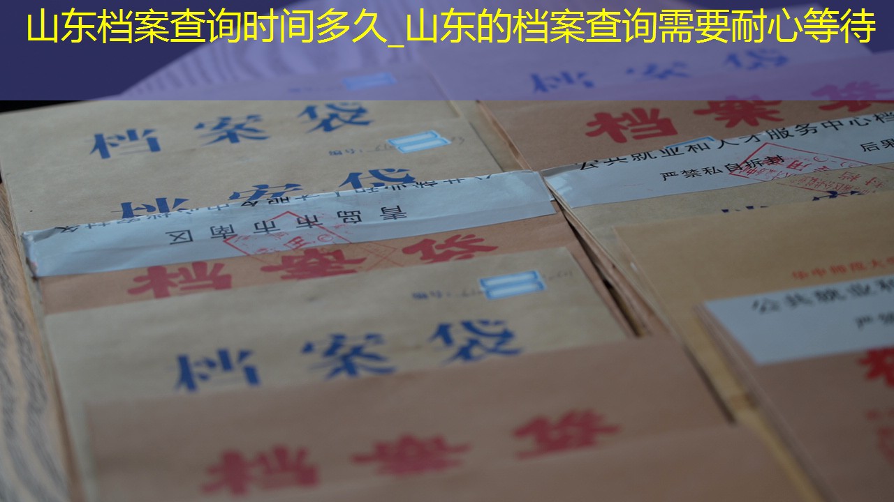 档案查询