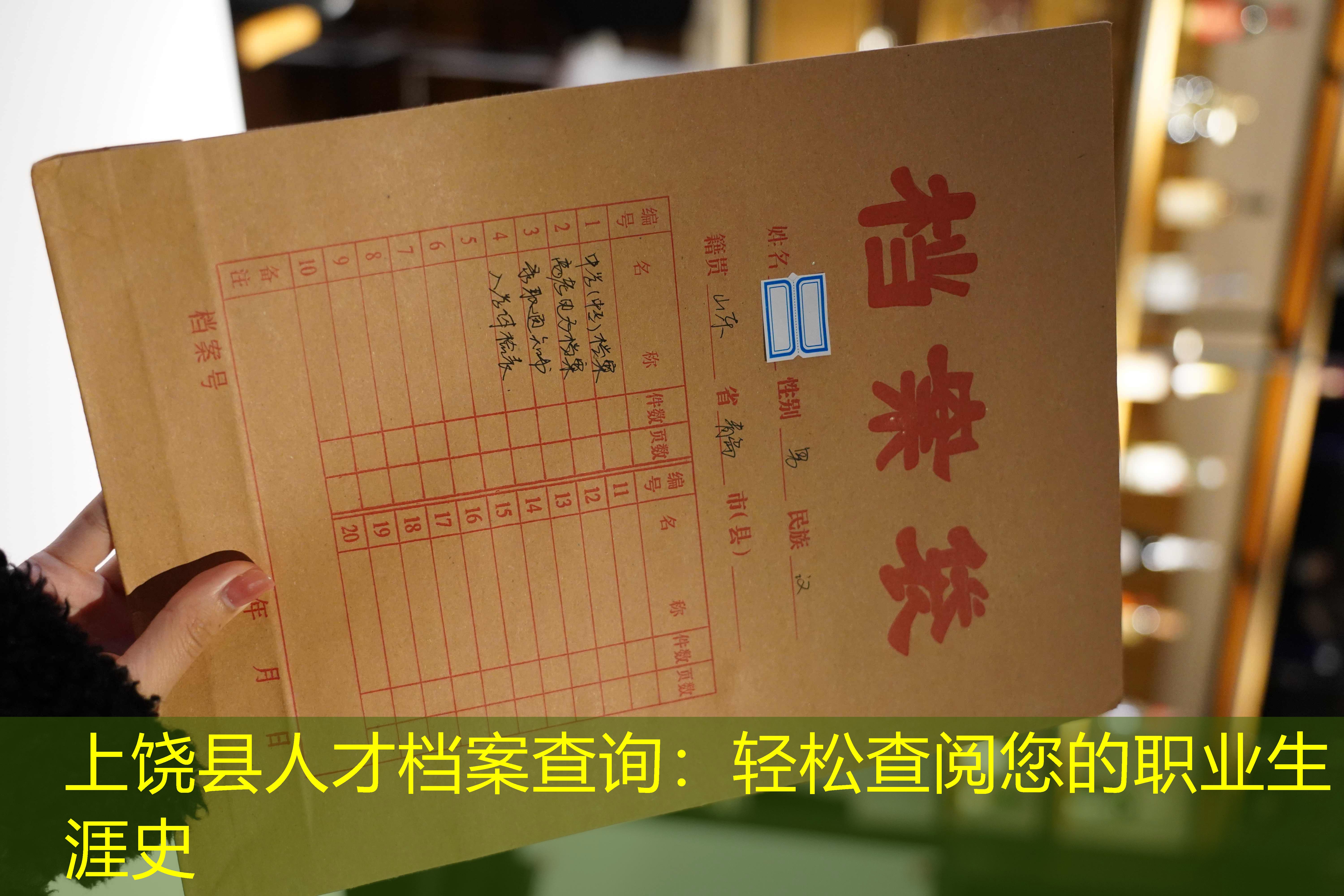 档案查询