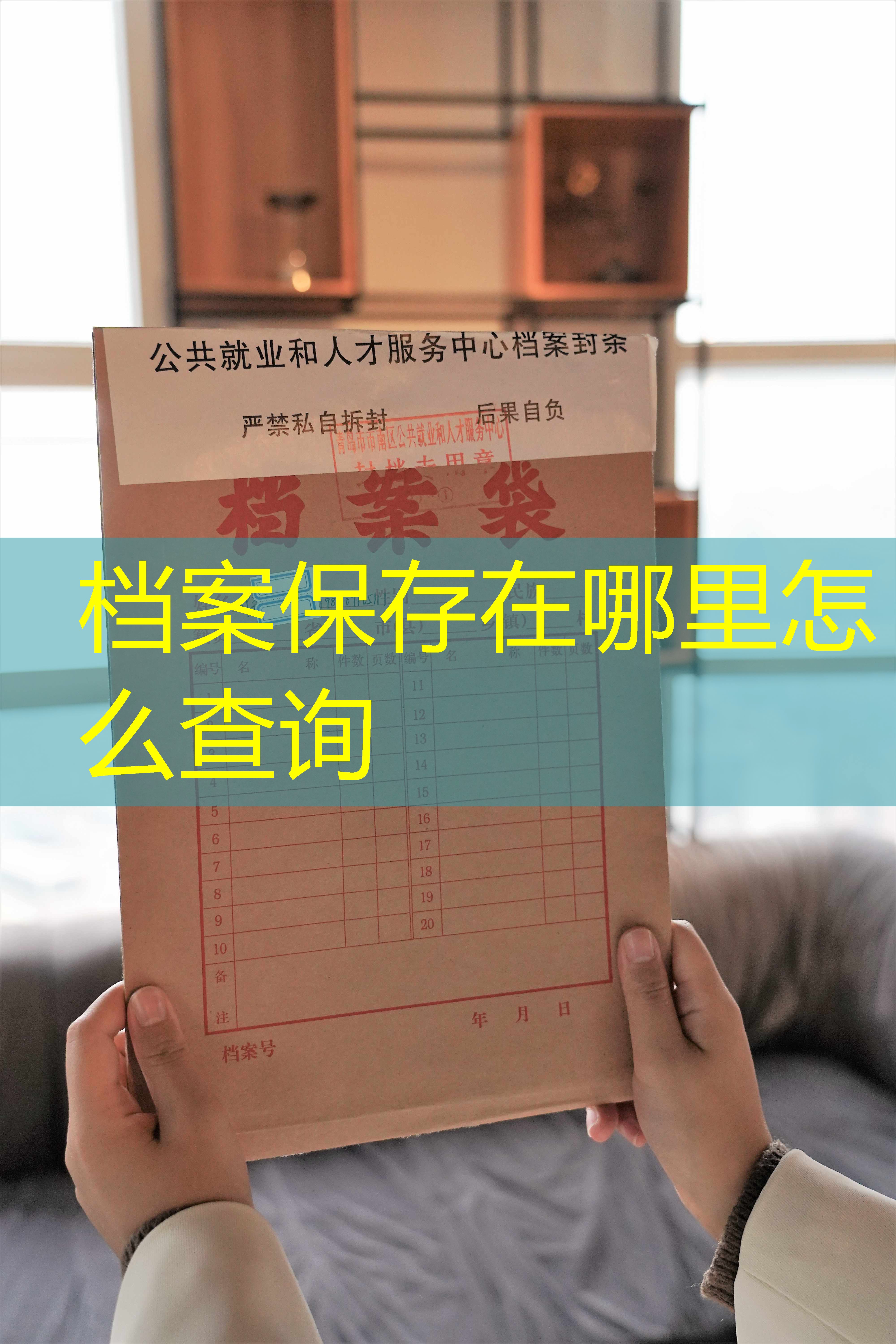 档案查询
