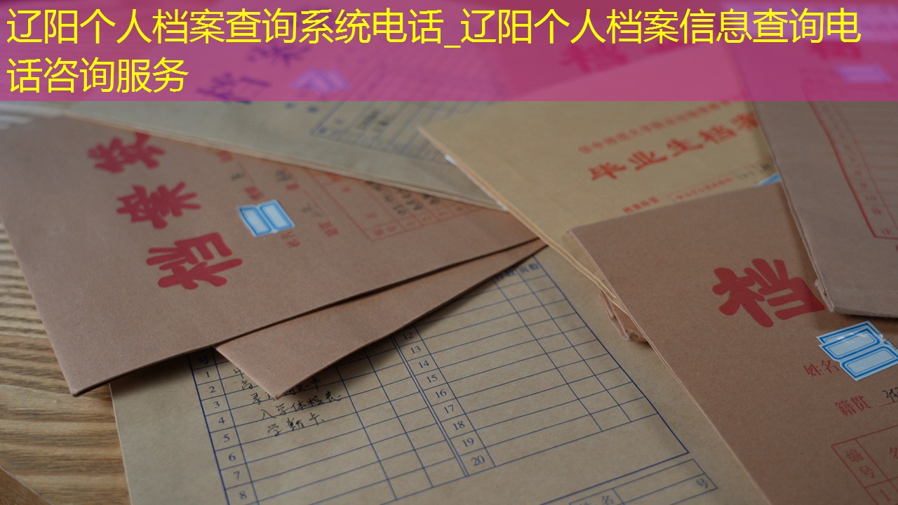 档案查询