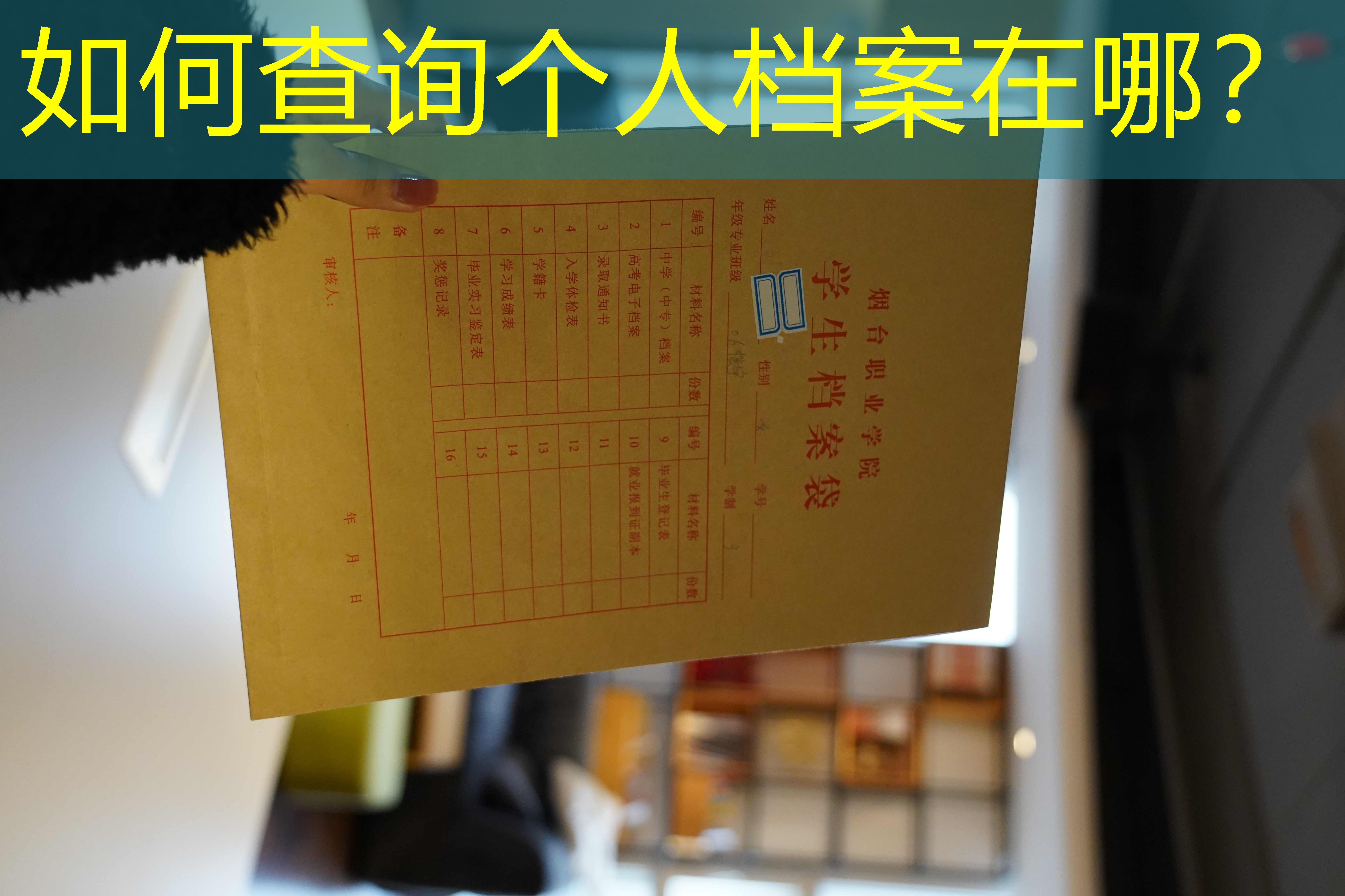 档案查询