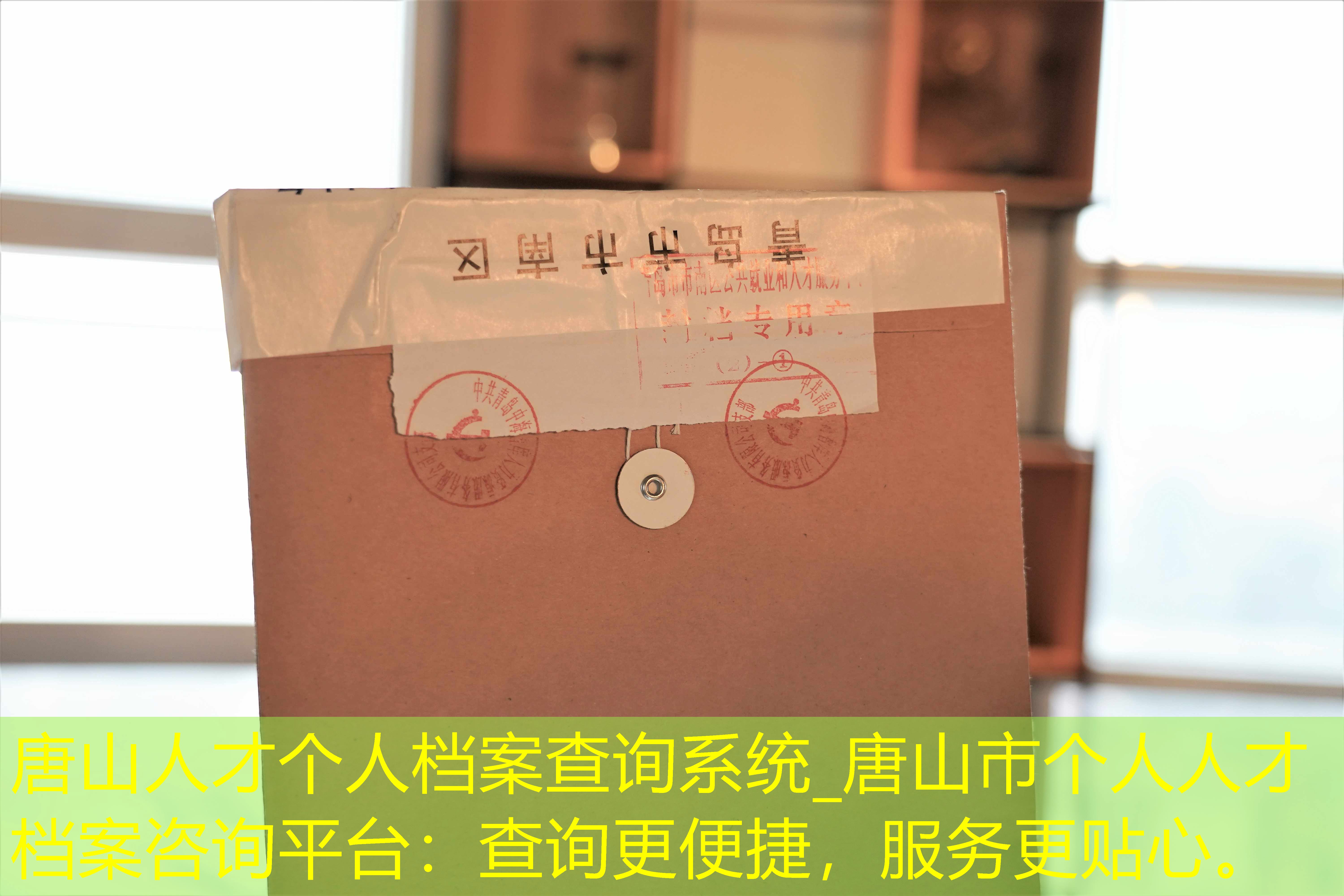 档案查询