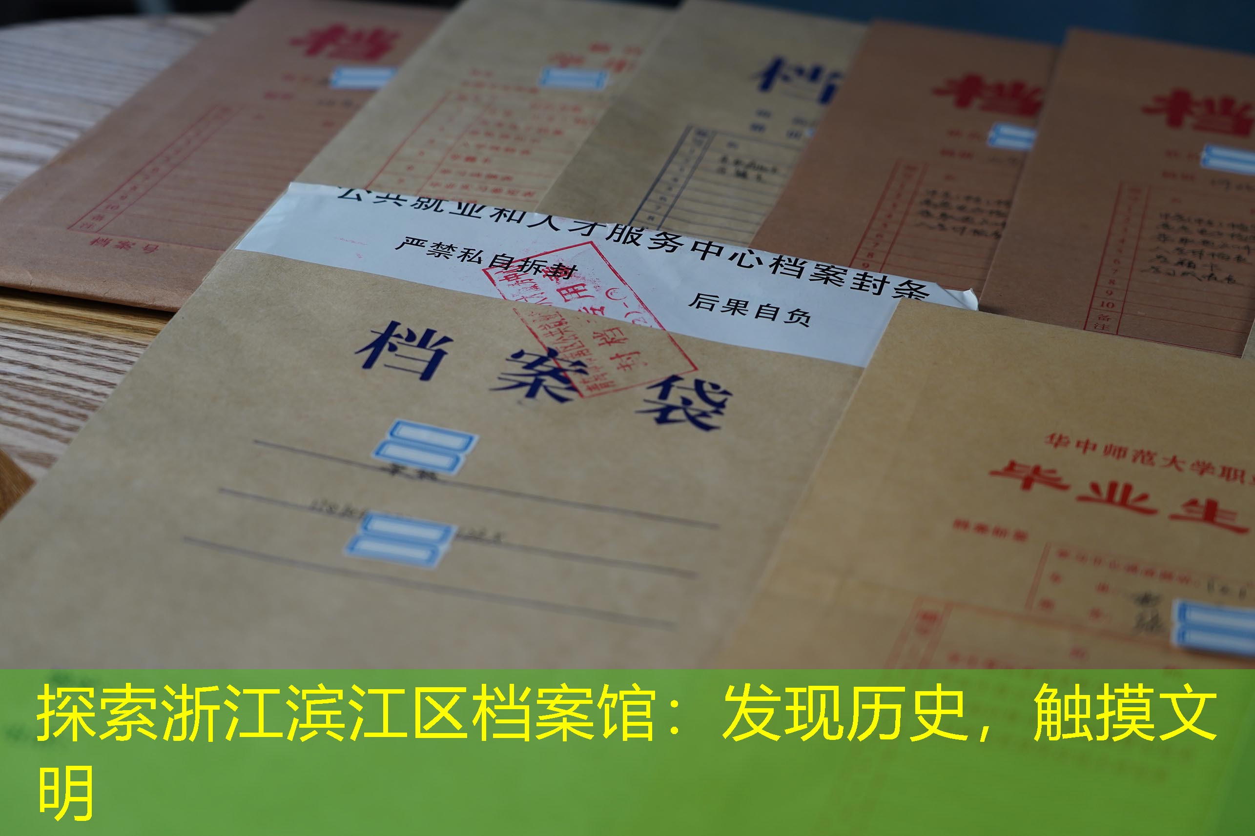 档案查询
