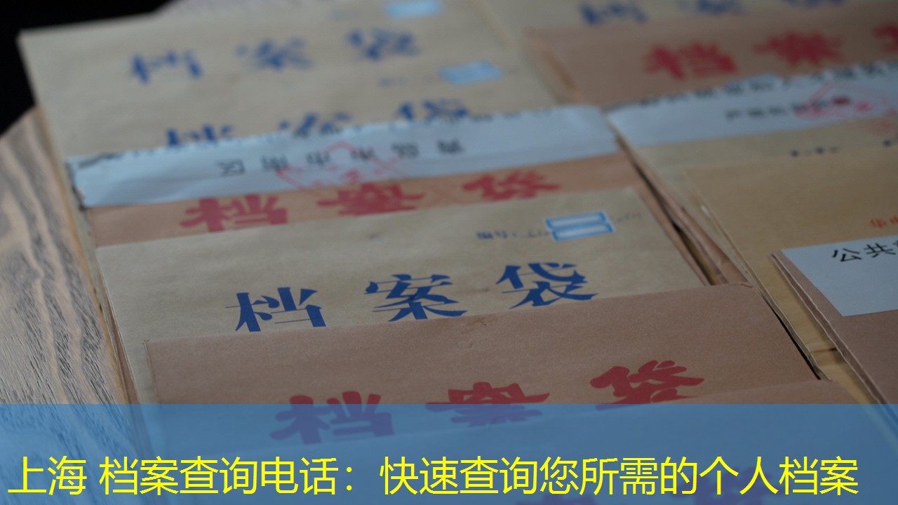 档案查询