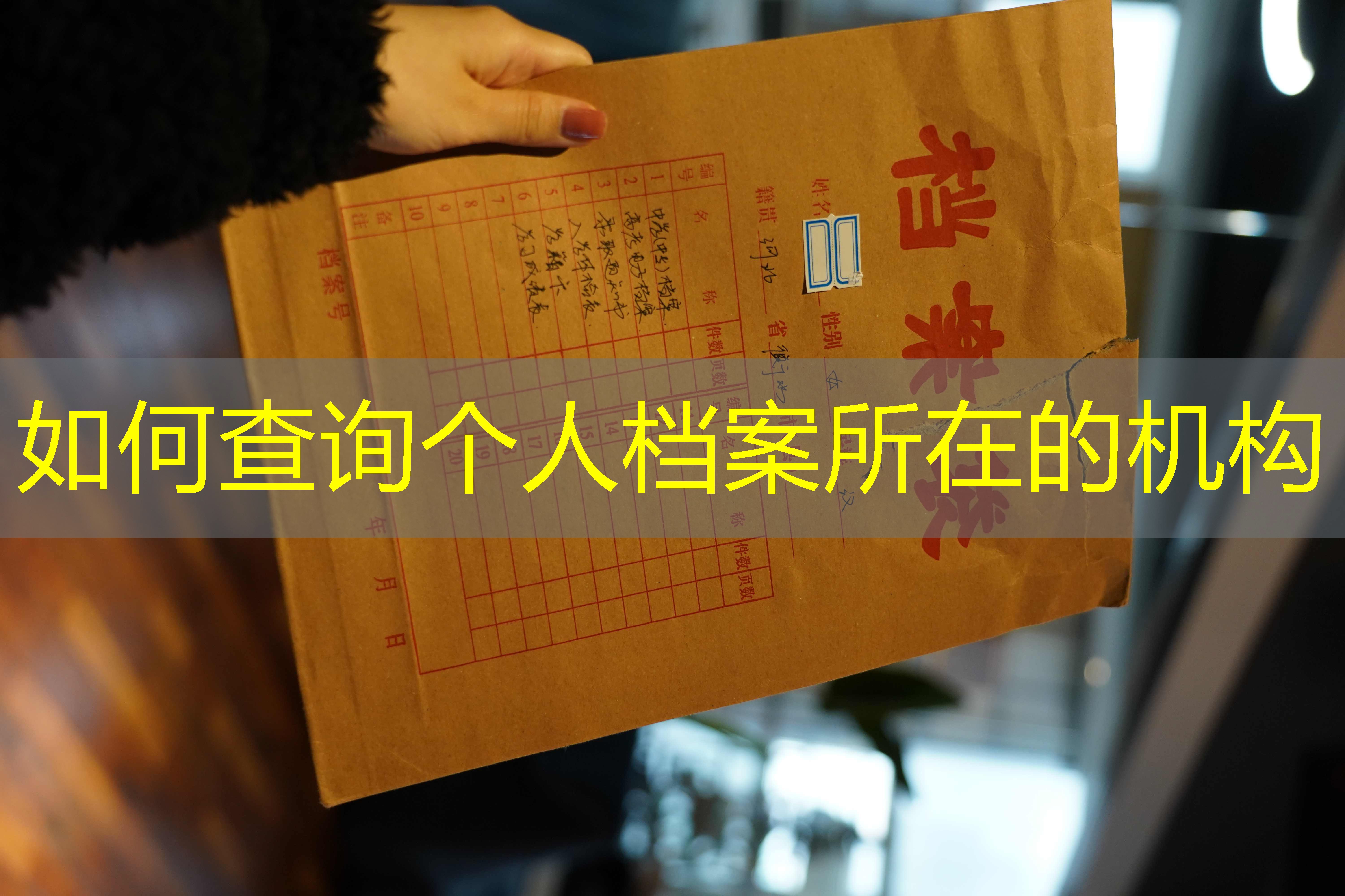 档案查询