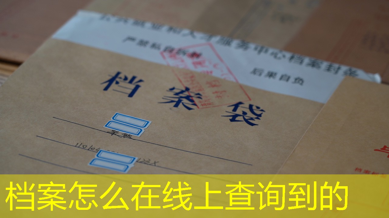 档案查询