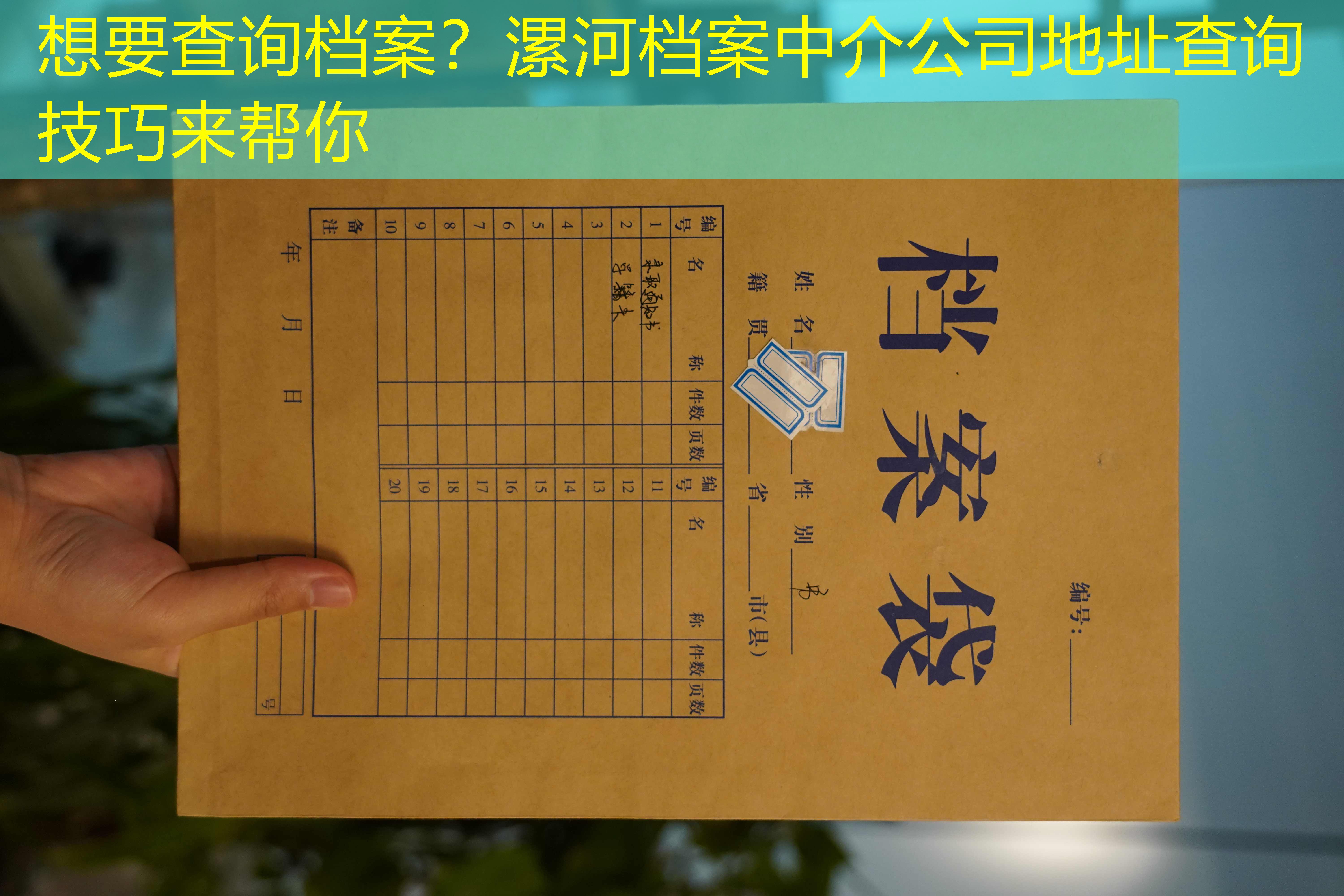 档案查询
