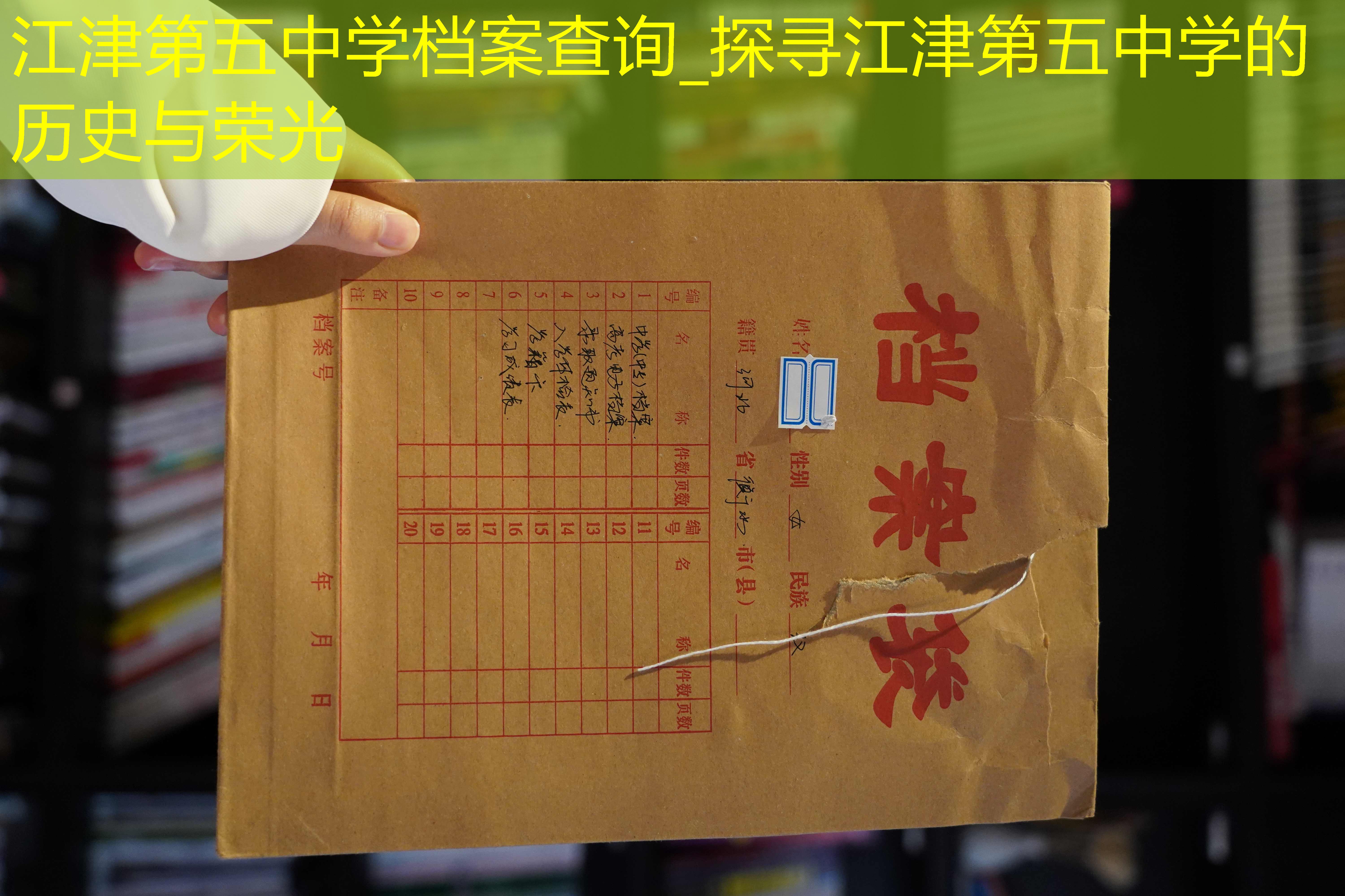 档案查询