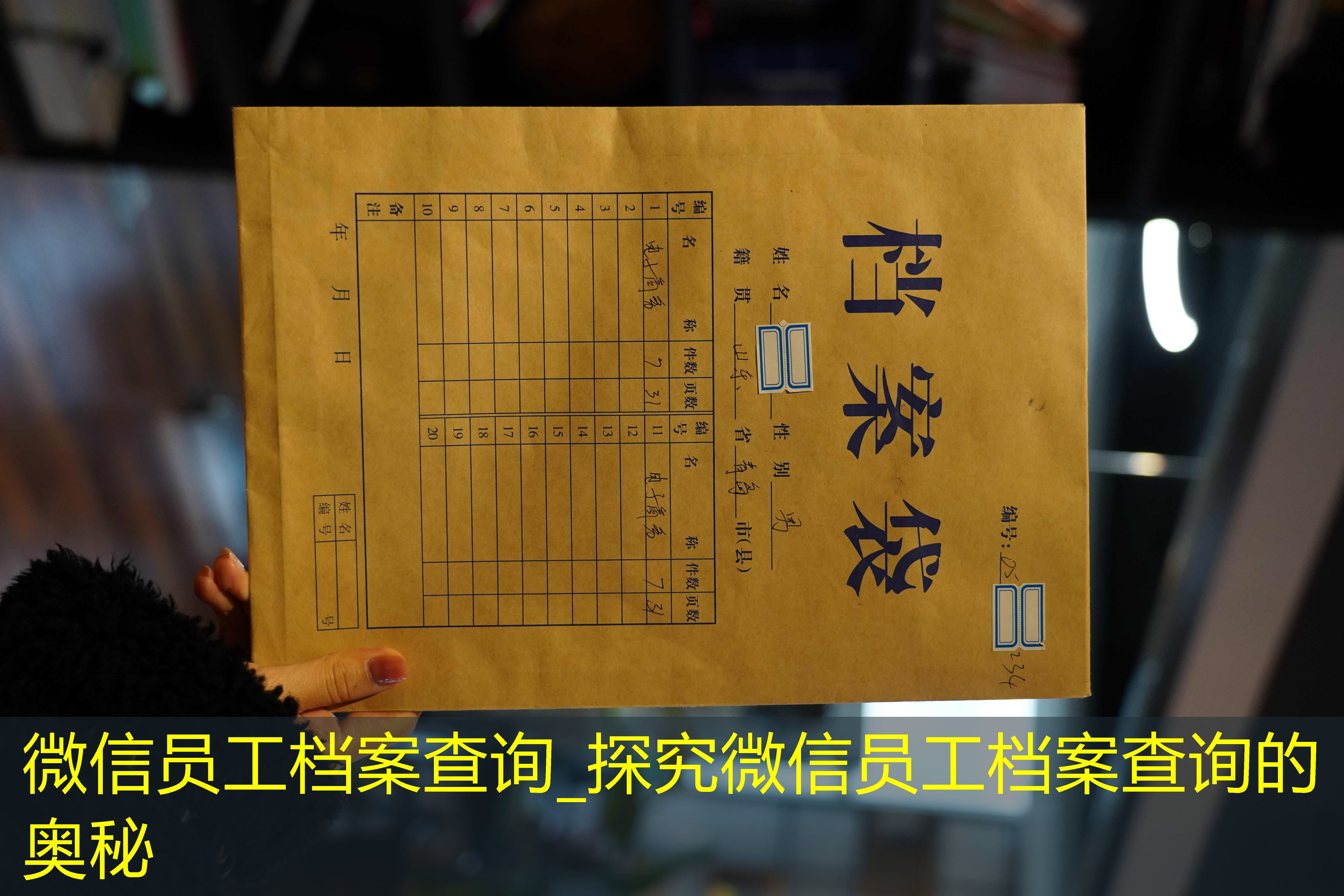档案查询
