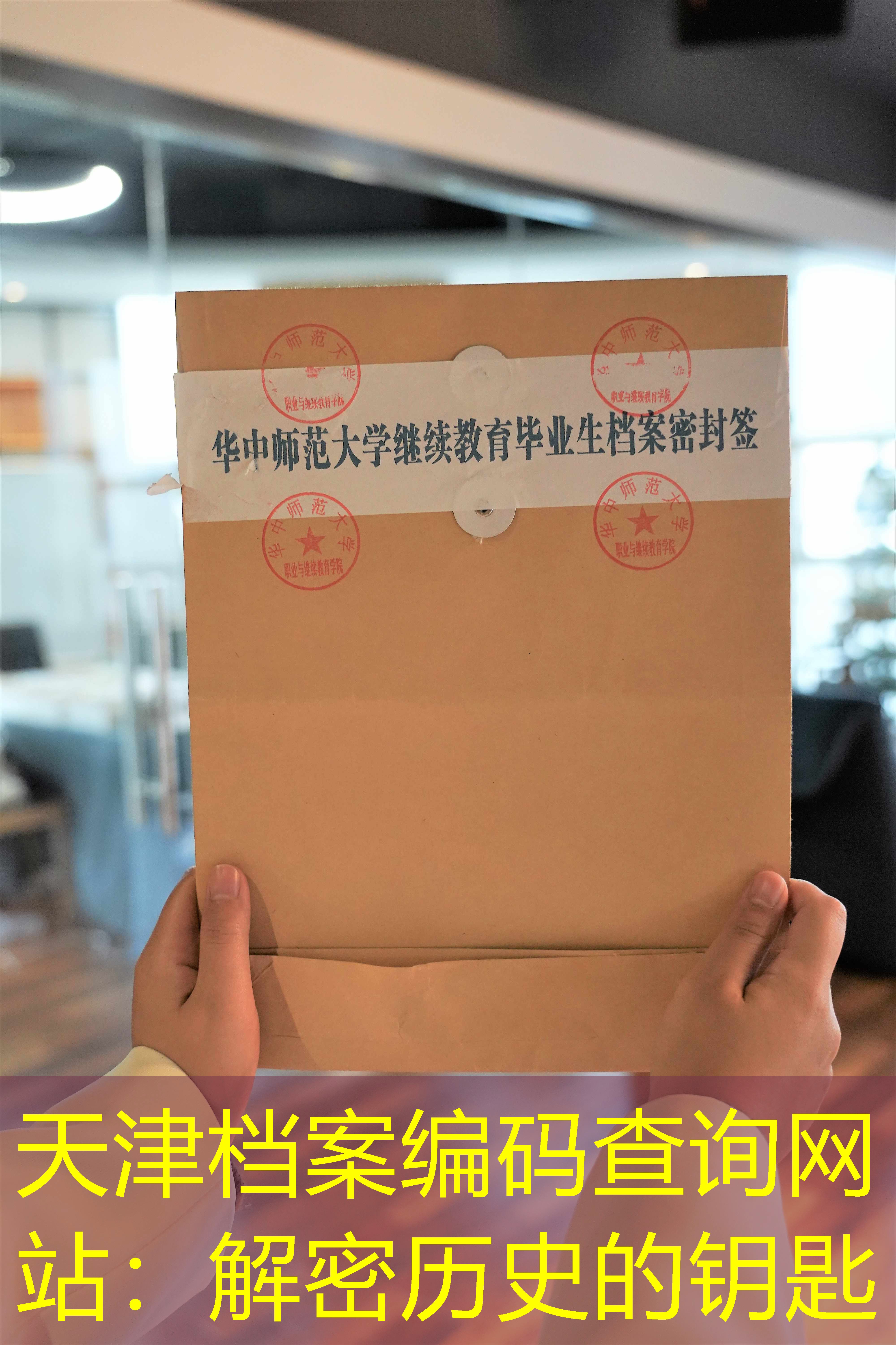 档案查询