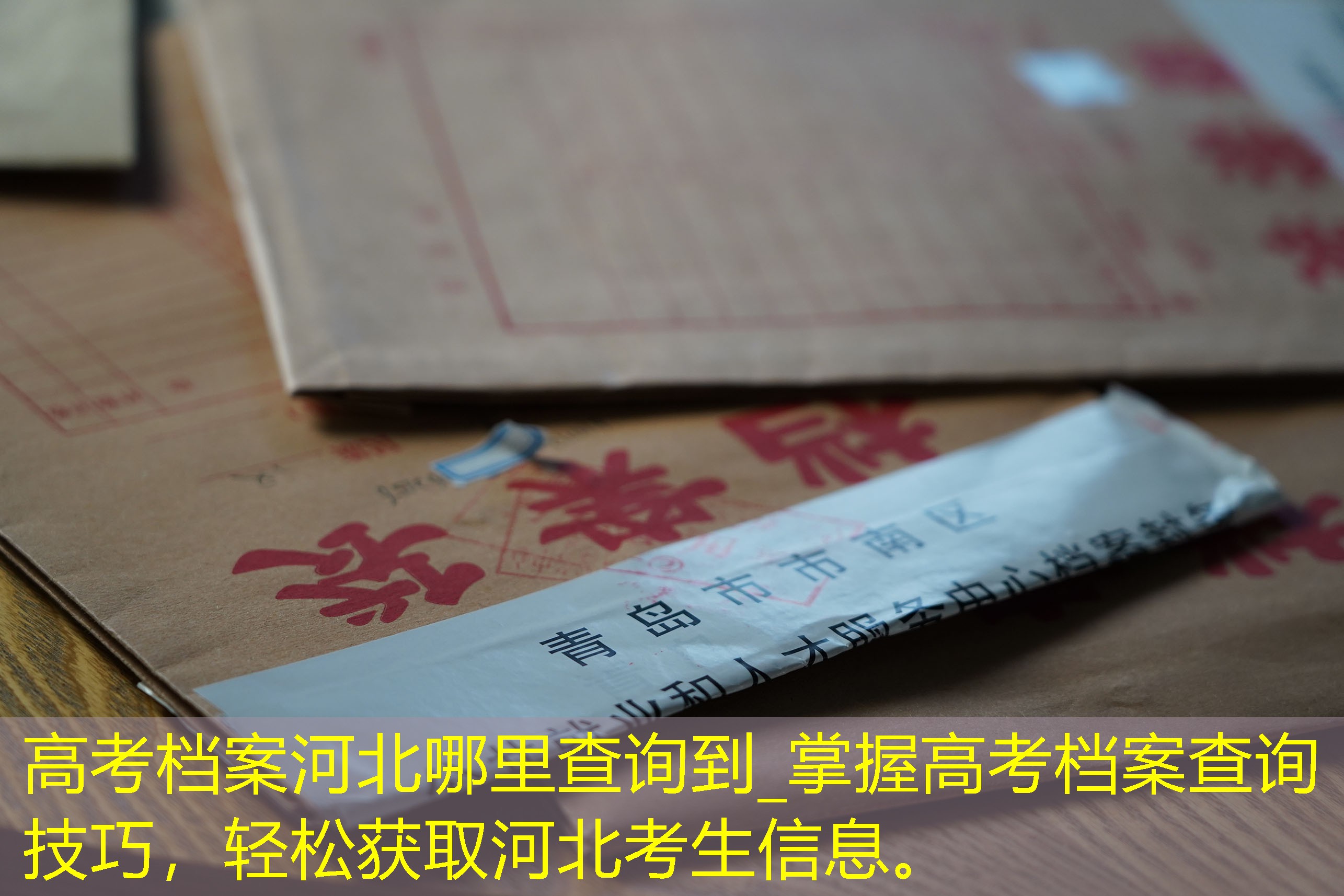 档案查询
