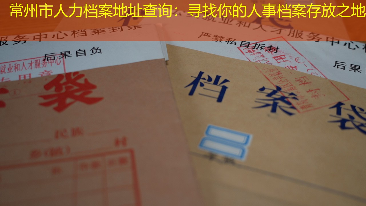 档案查询