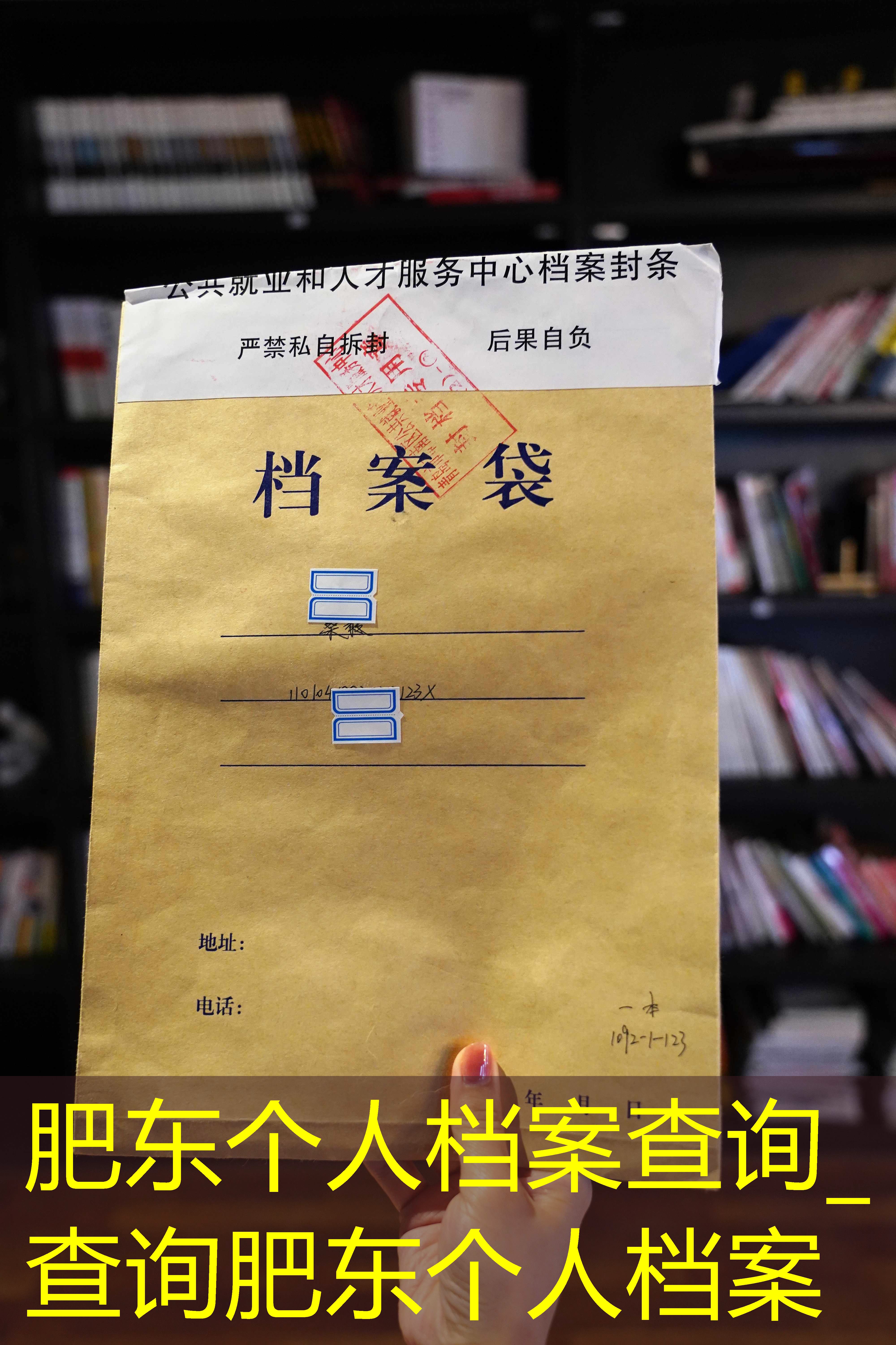 档案查询