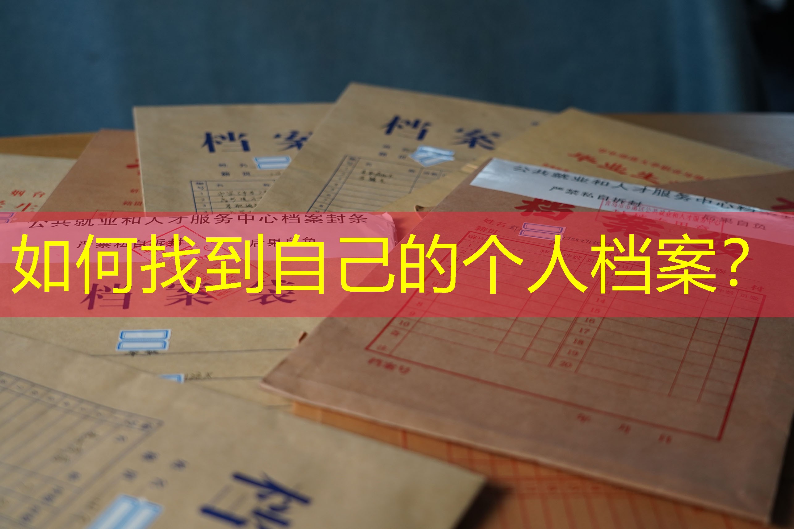 档案查询