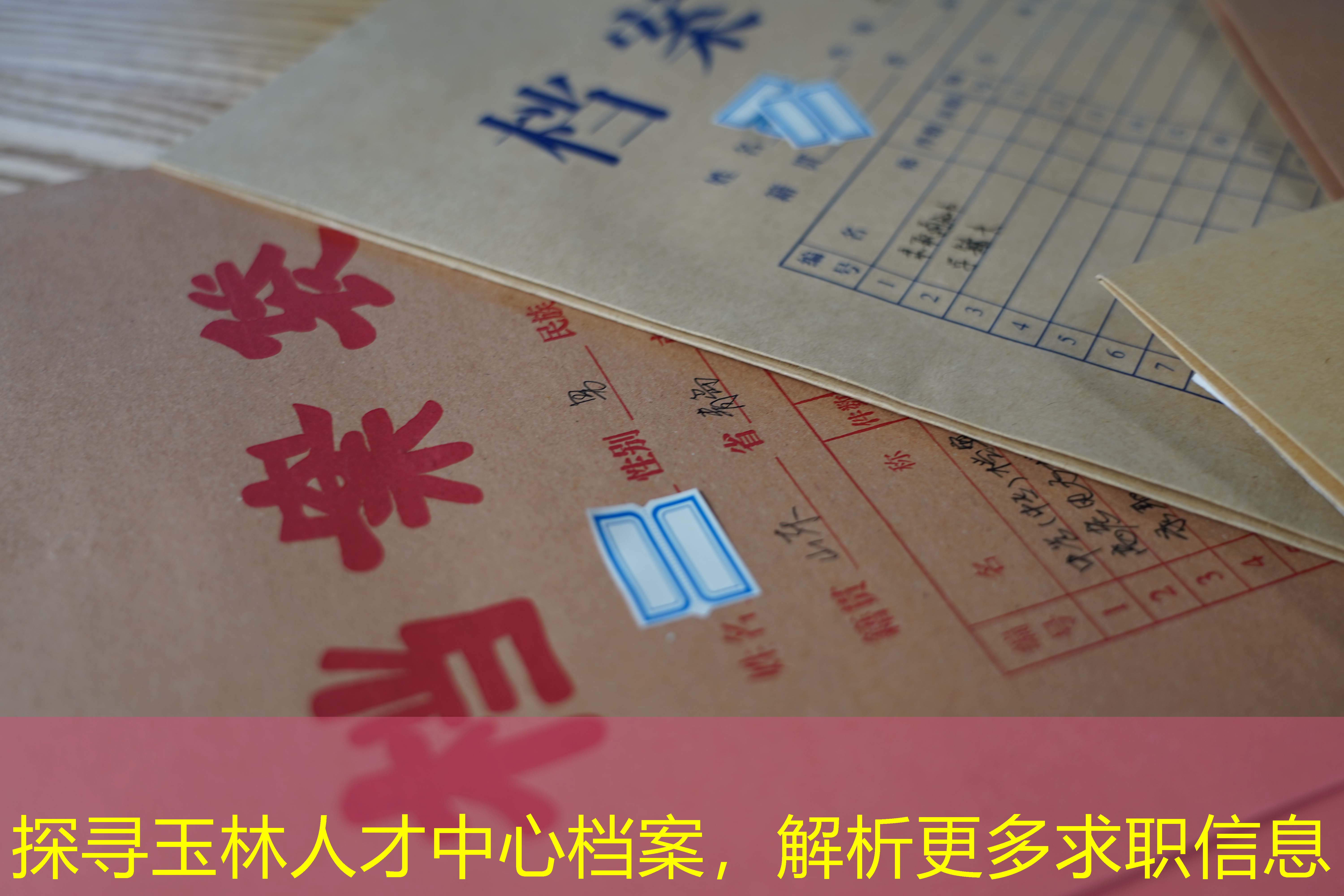 档案查询