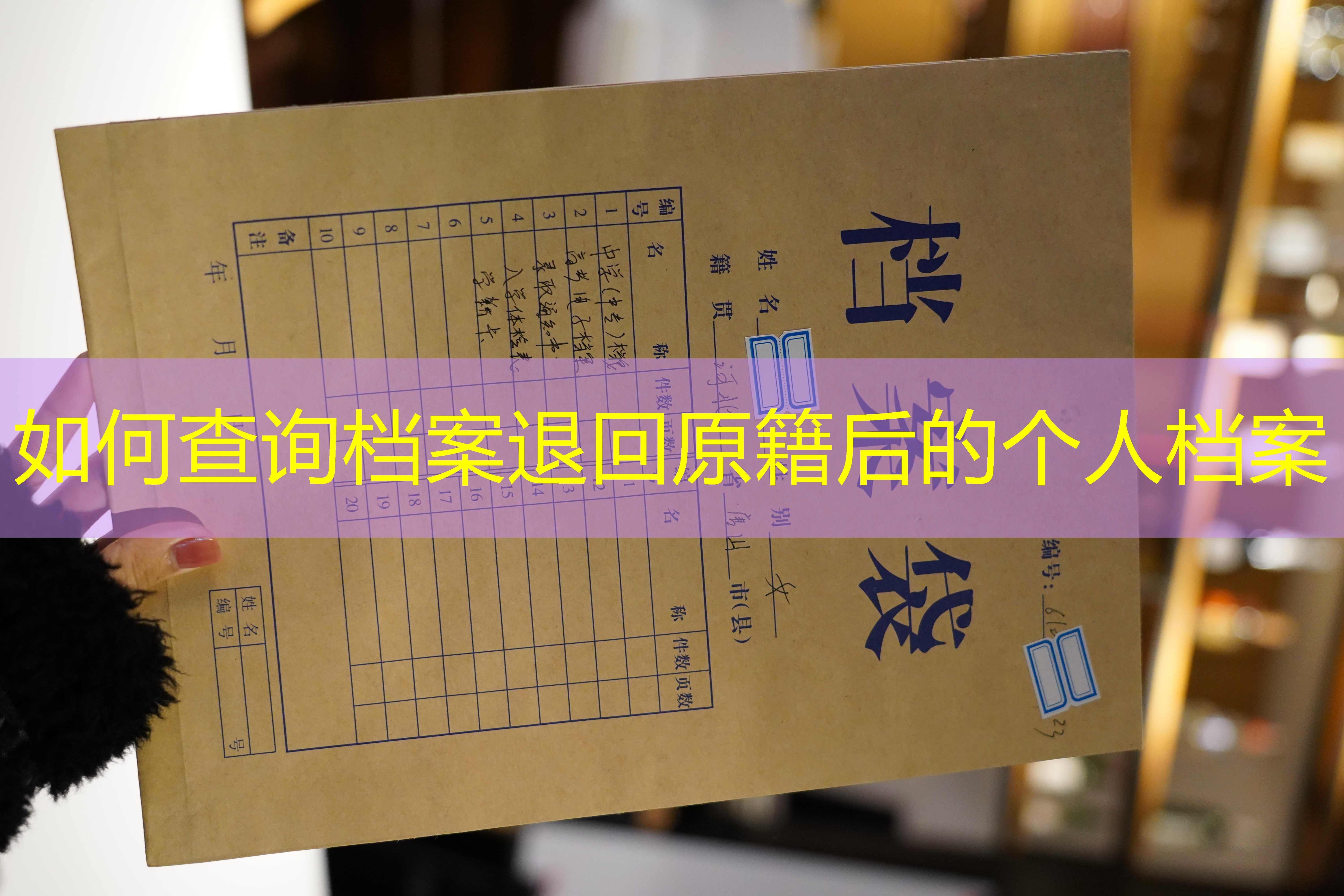 档案查询