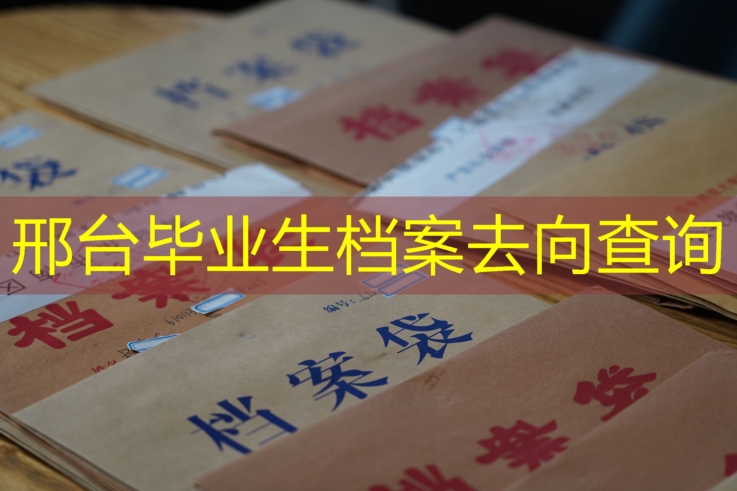 档案查询