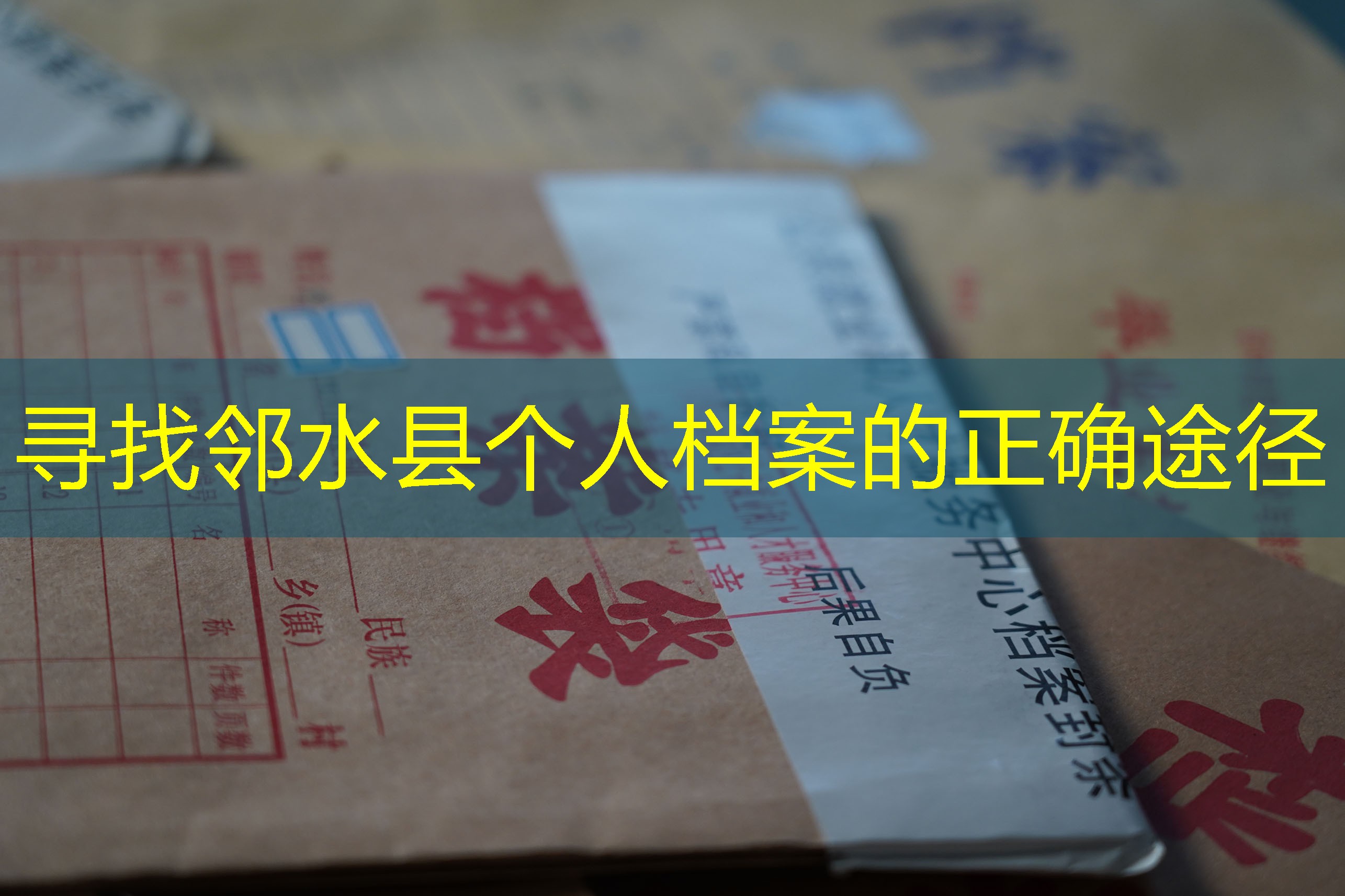 档案查询