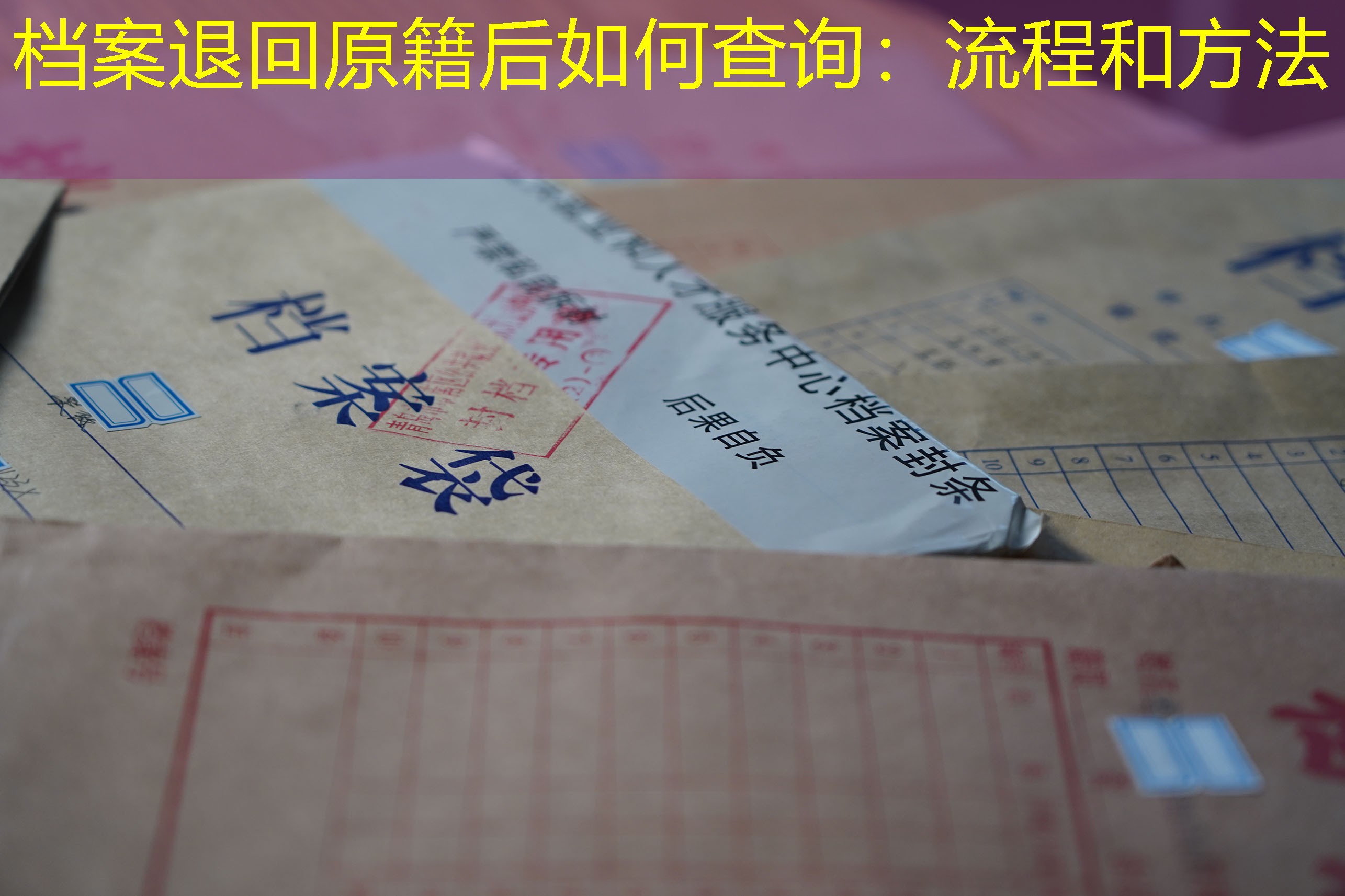 档案查询