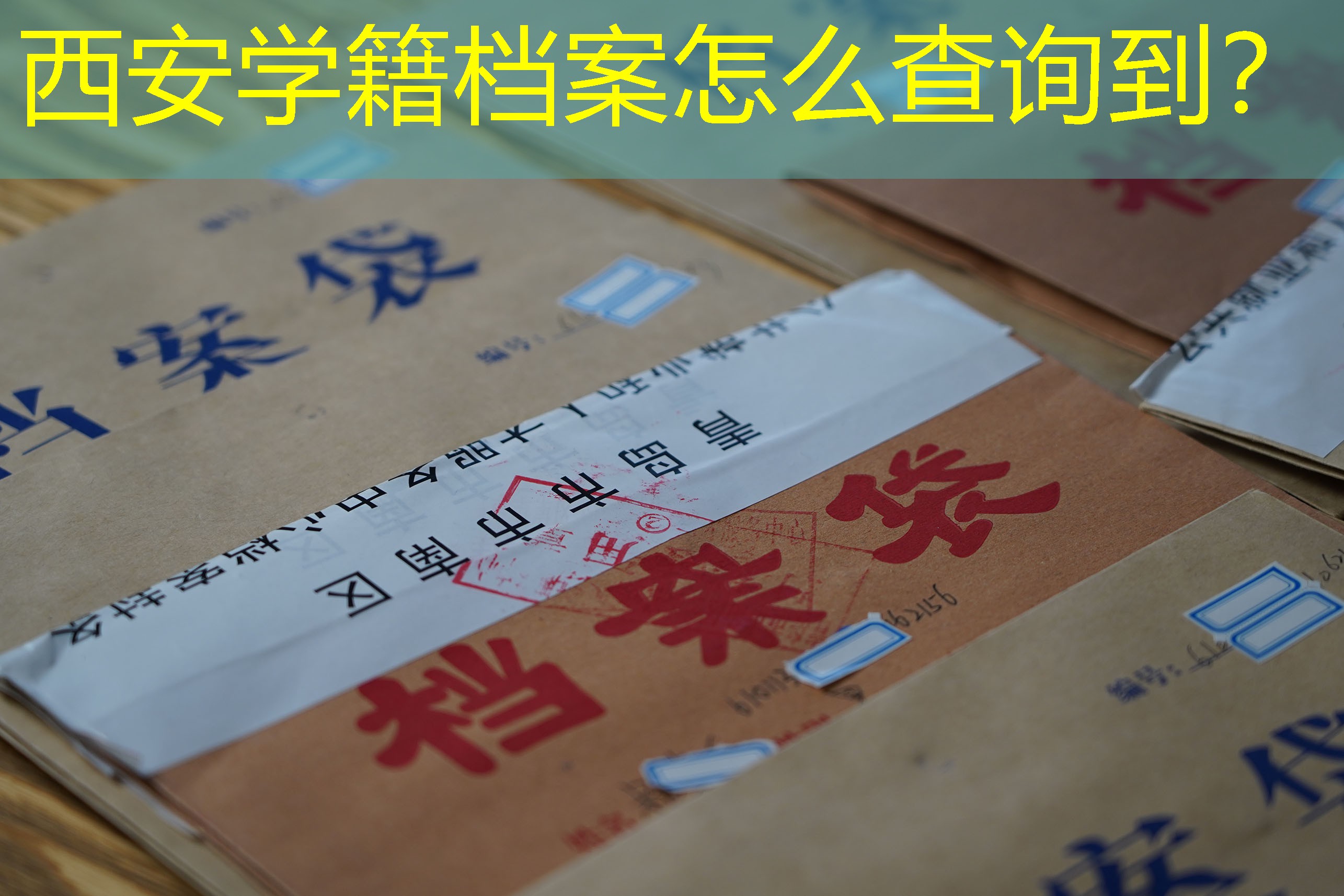 档案查询