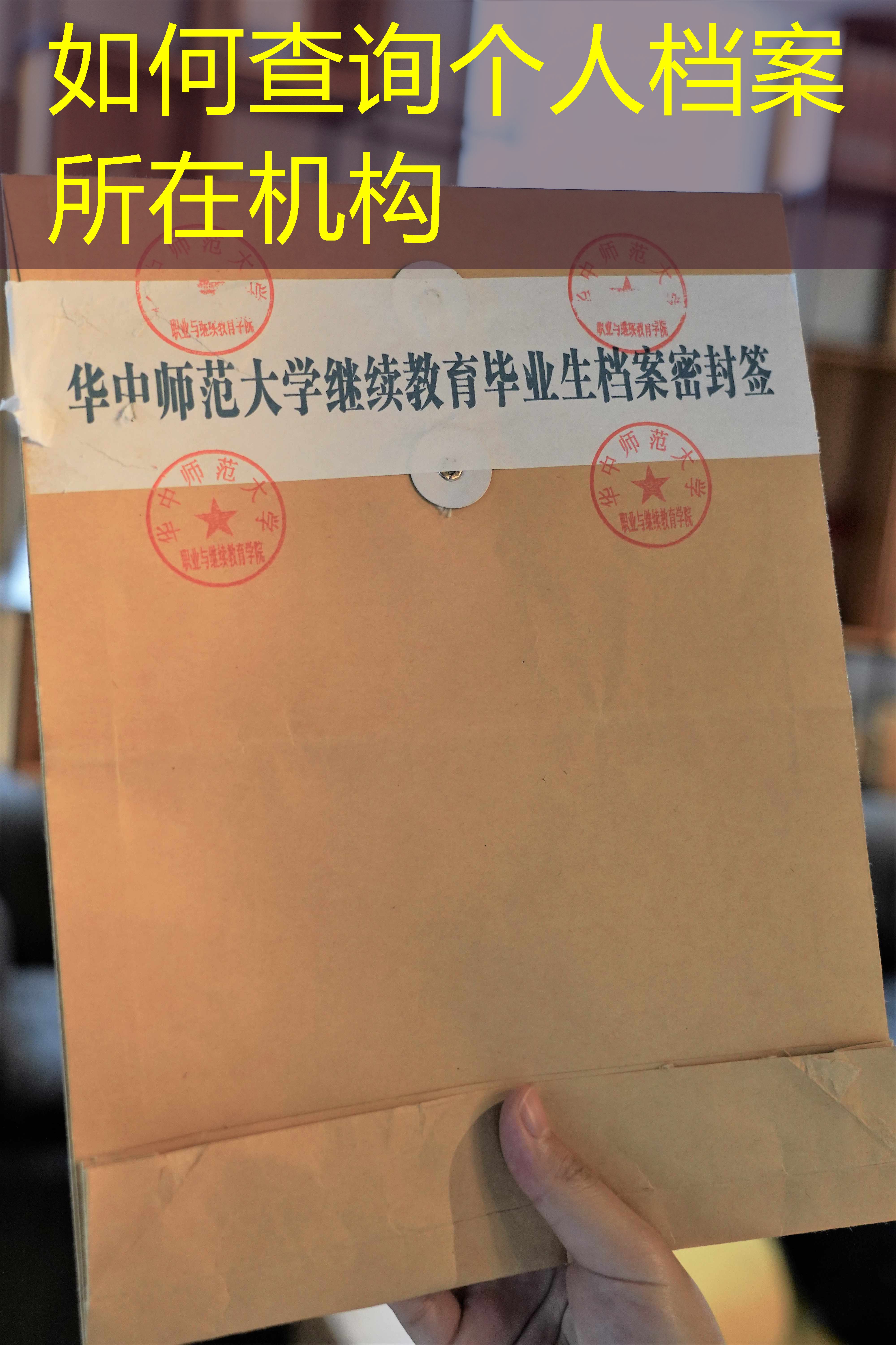档案查询