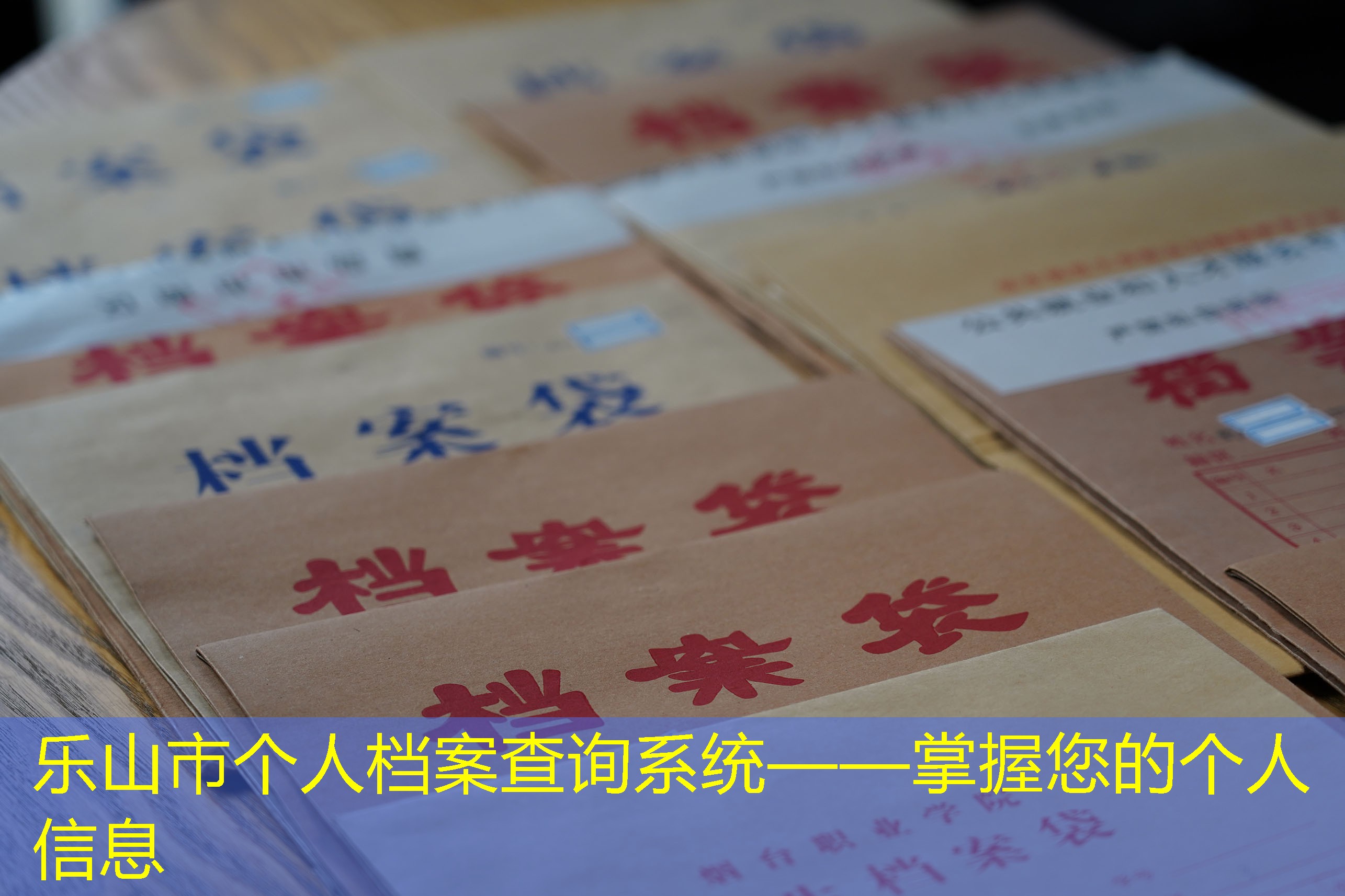 档案查询
