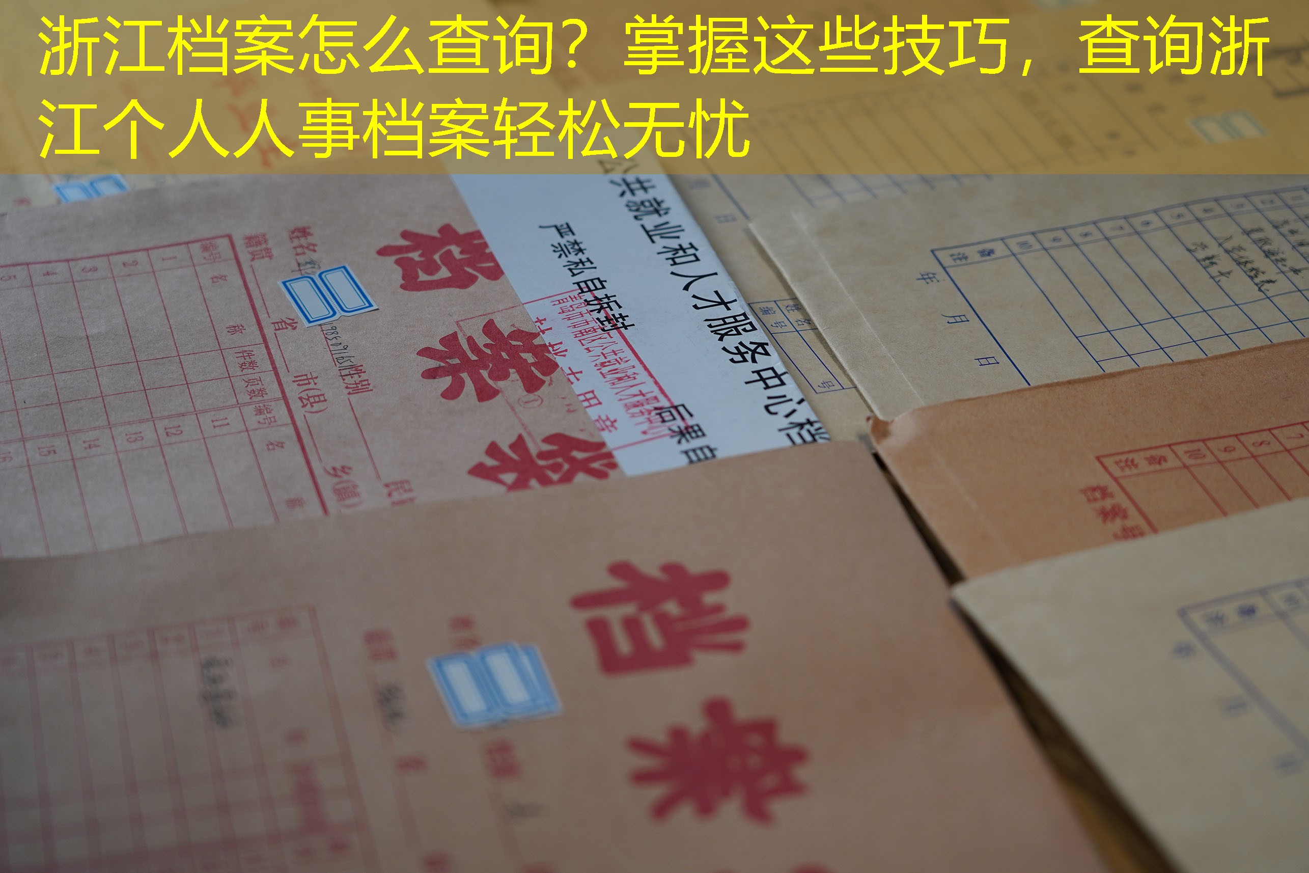 档案查询