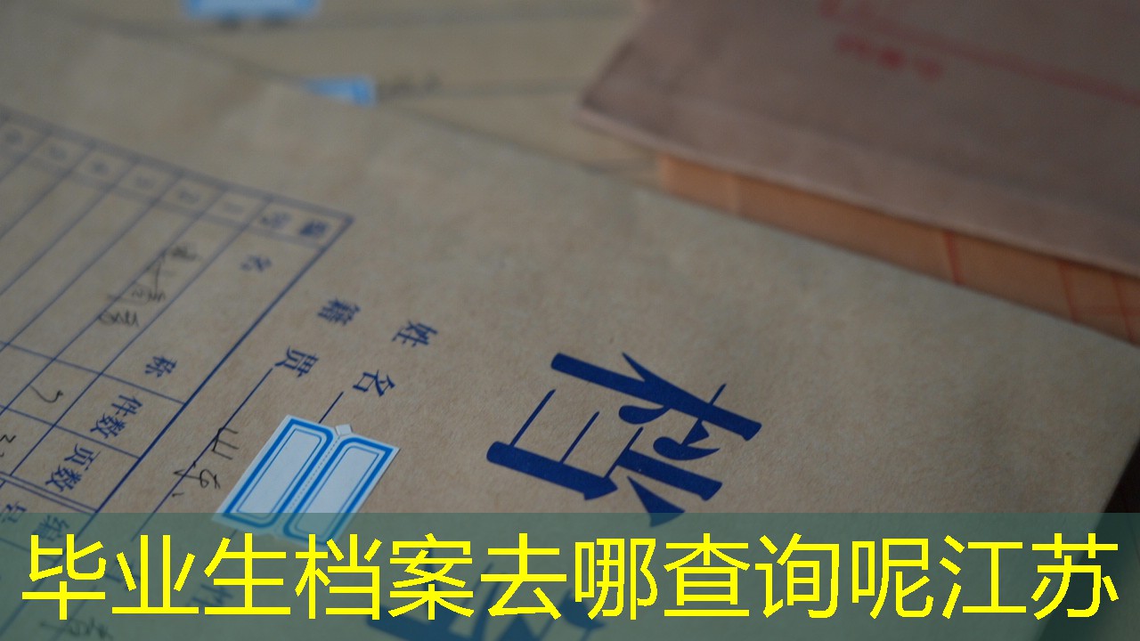 档案查询