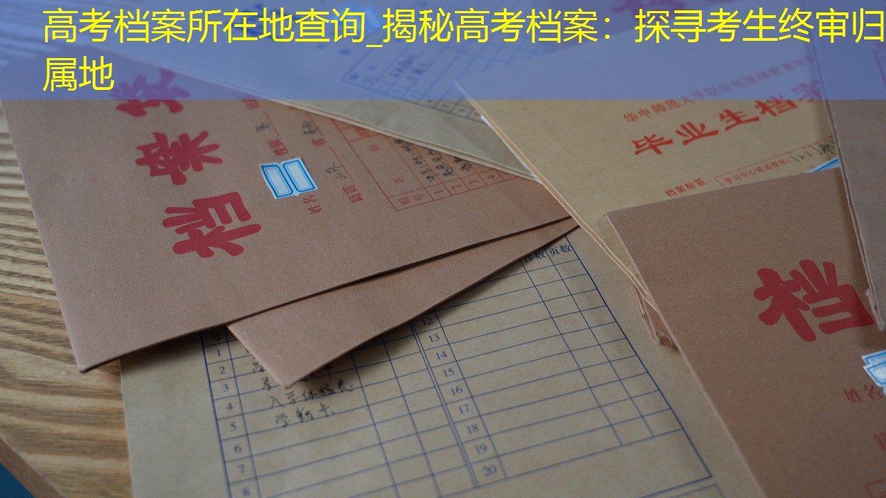 档案查询