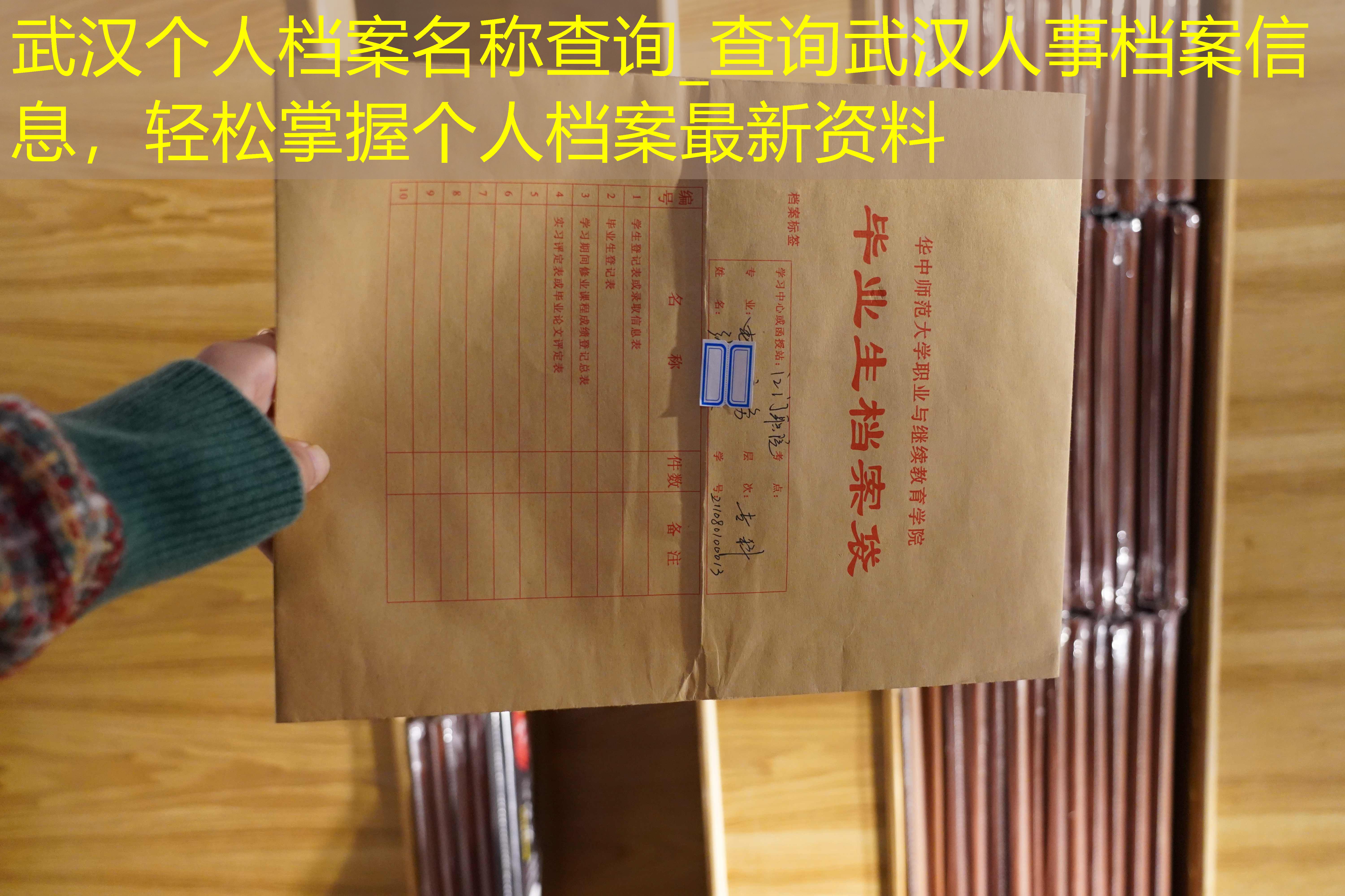 档案查询