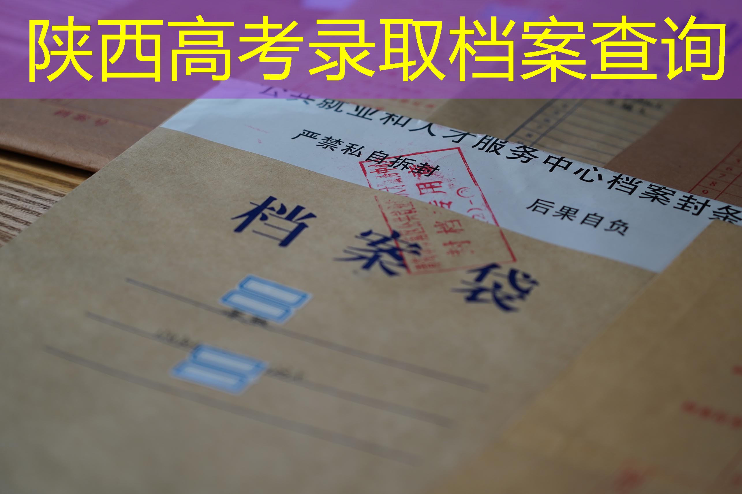档案查询