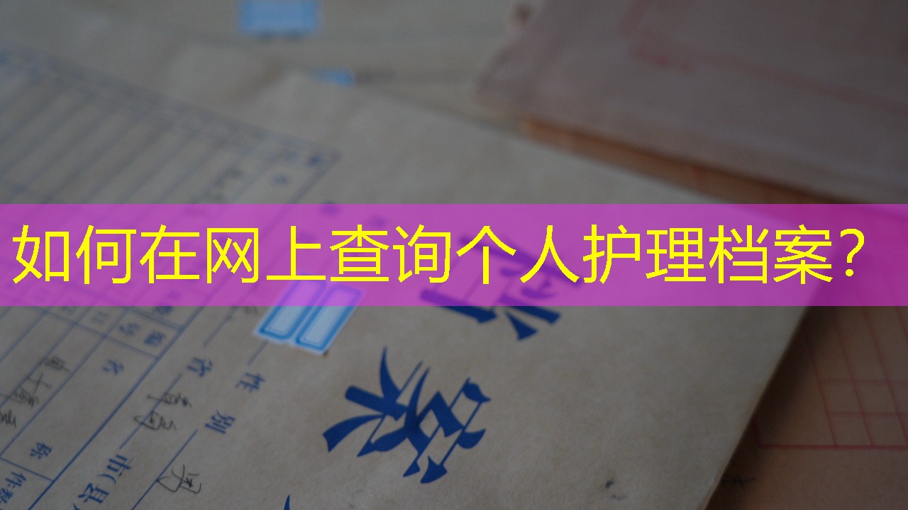 档案查询