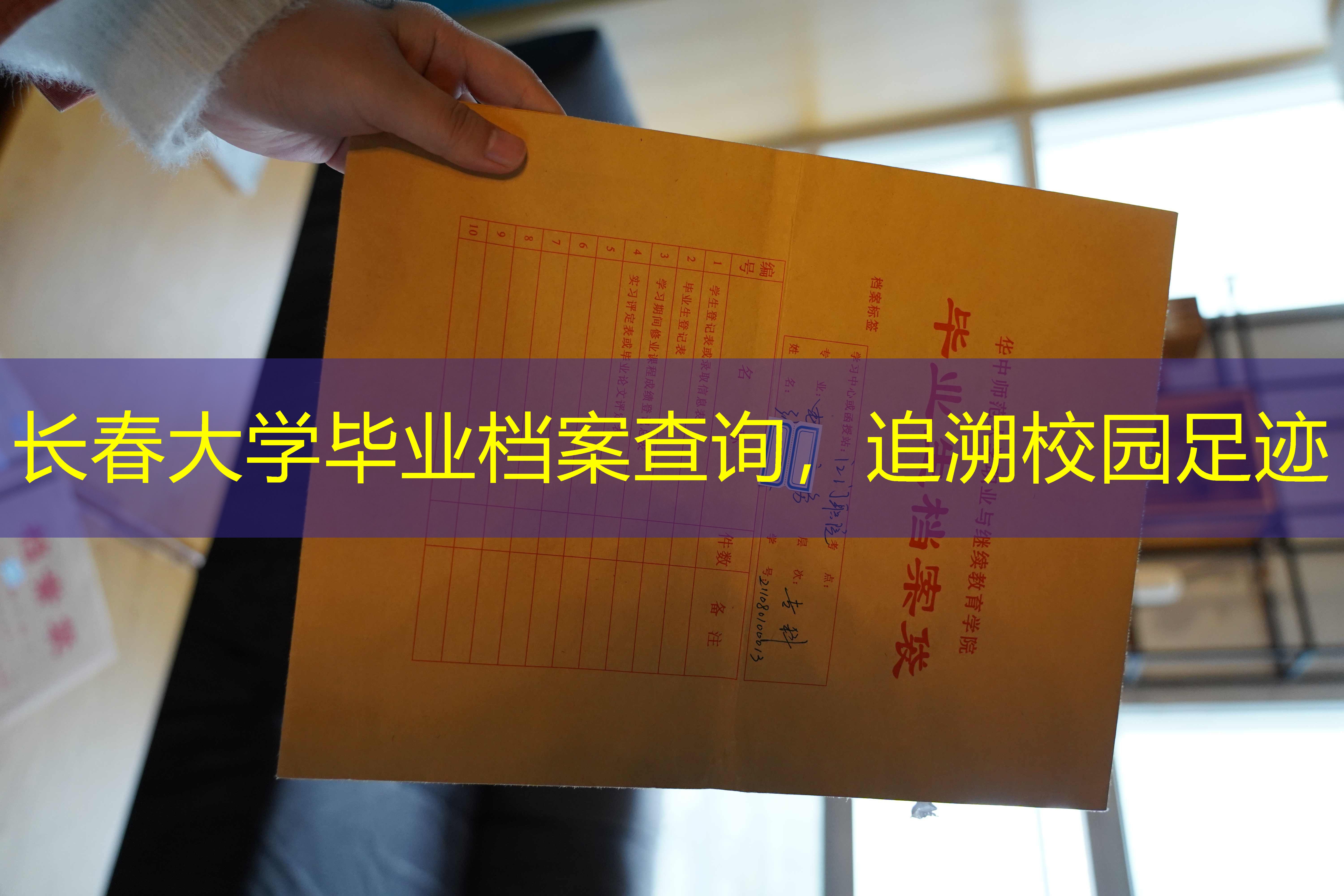 档案查询