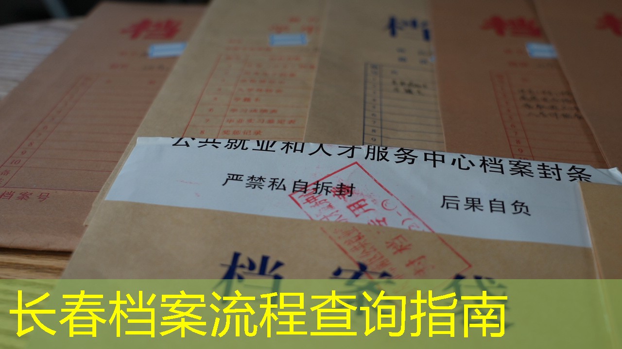 档案查询