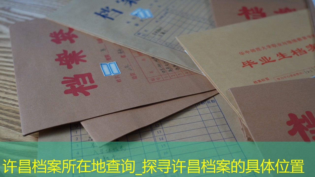 档案查询