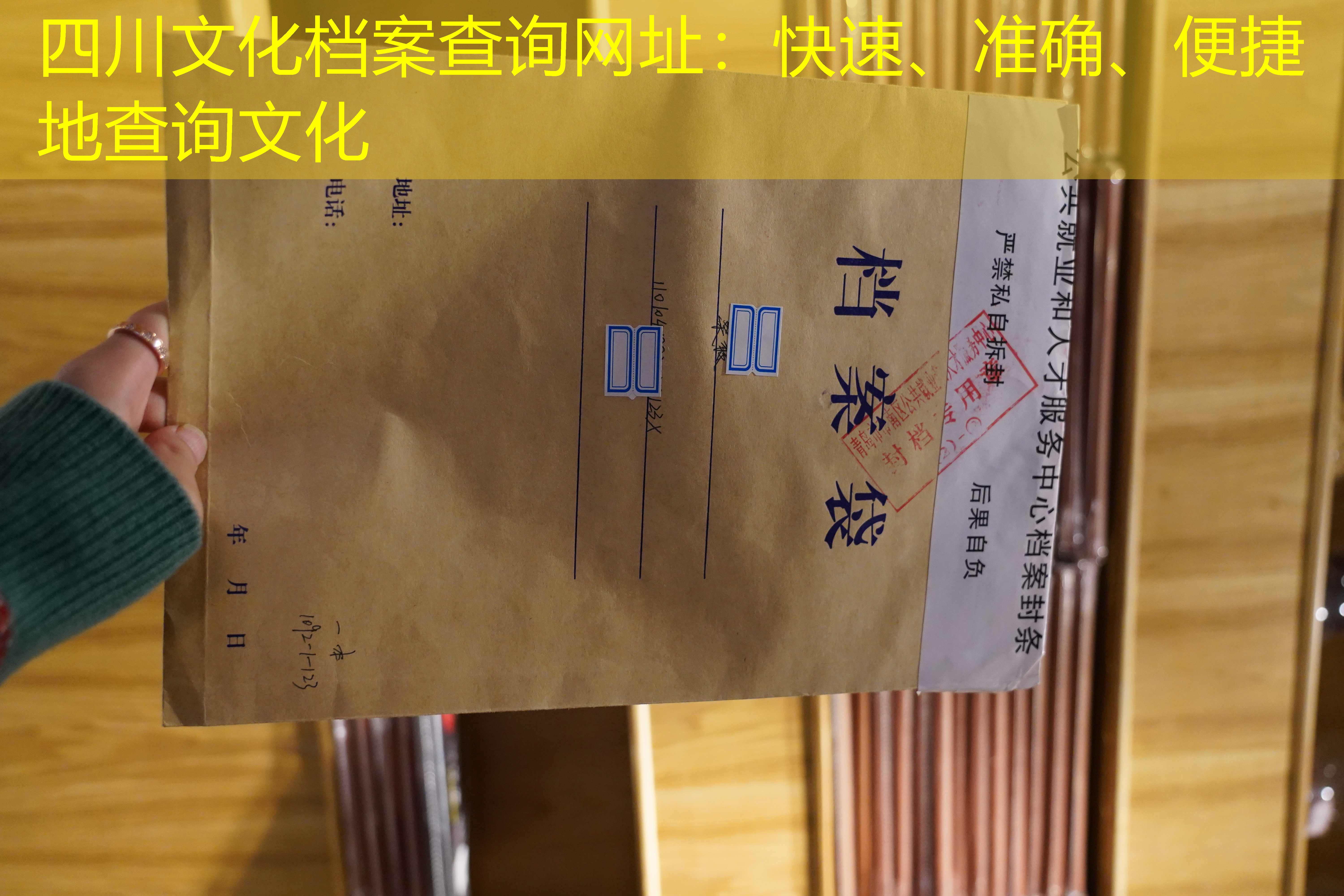 档案查询